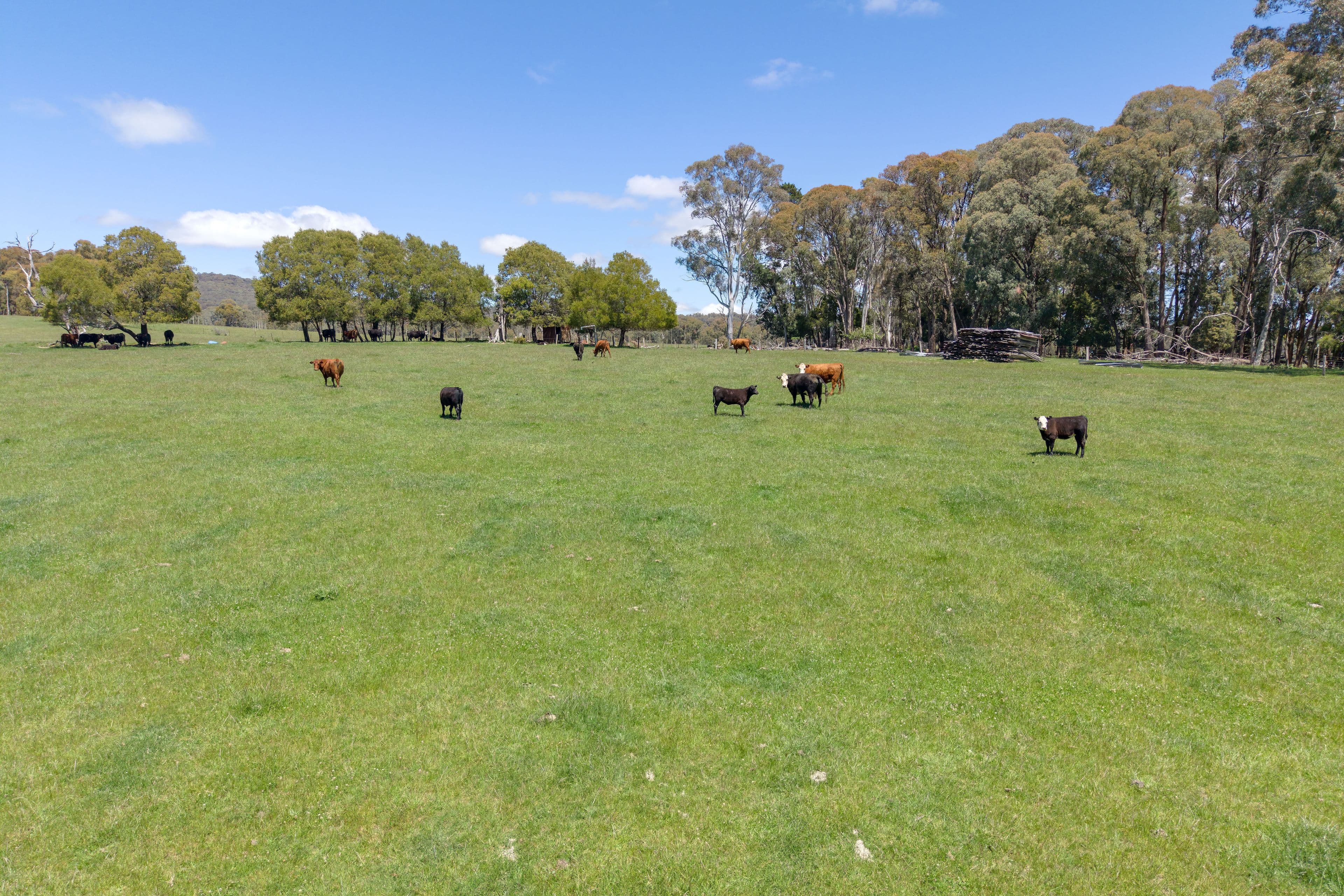 218 Hurdle Flat Road, Beechworth VIC 3747, Beechworth - Thumbnail 5