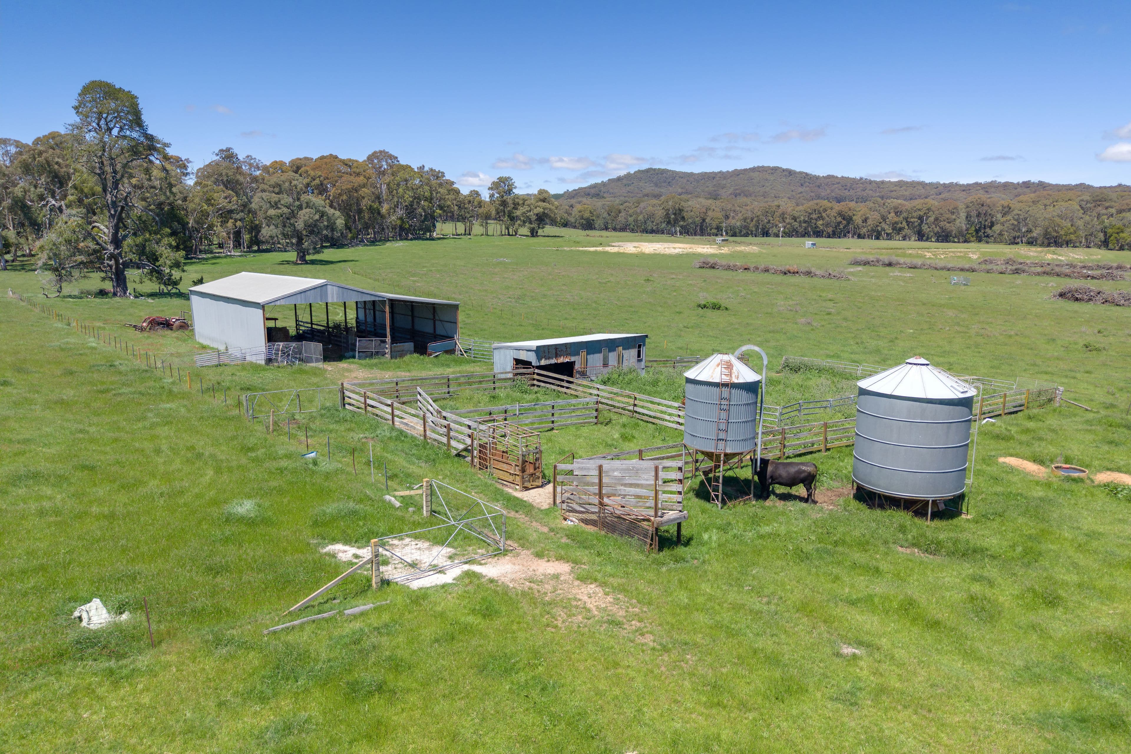 218 Hurdle Flat Road, Beechworth VIC 3747, Beechworth - Thumbnail 6