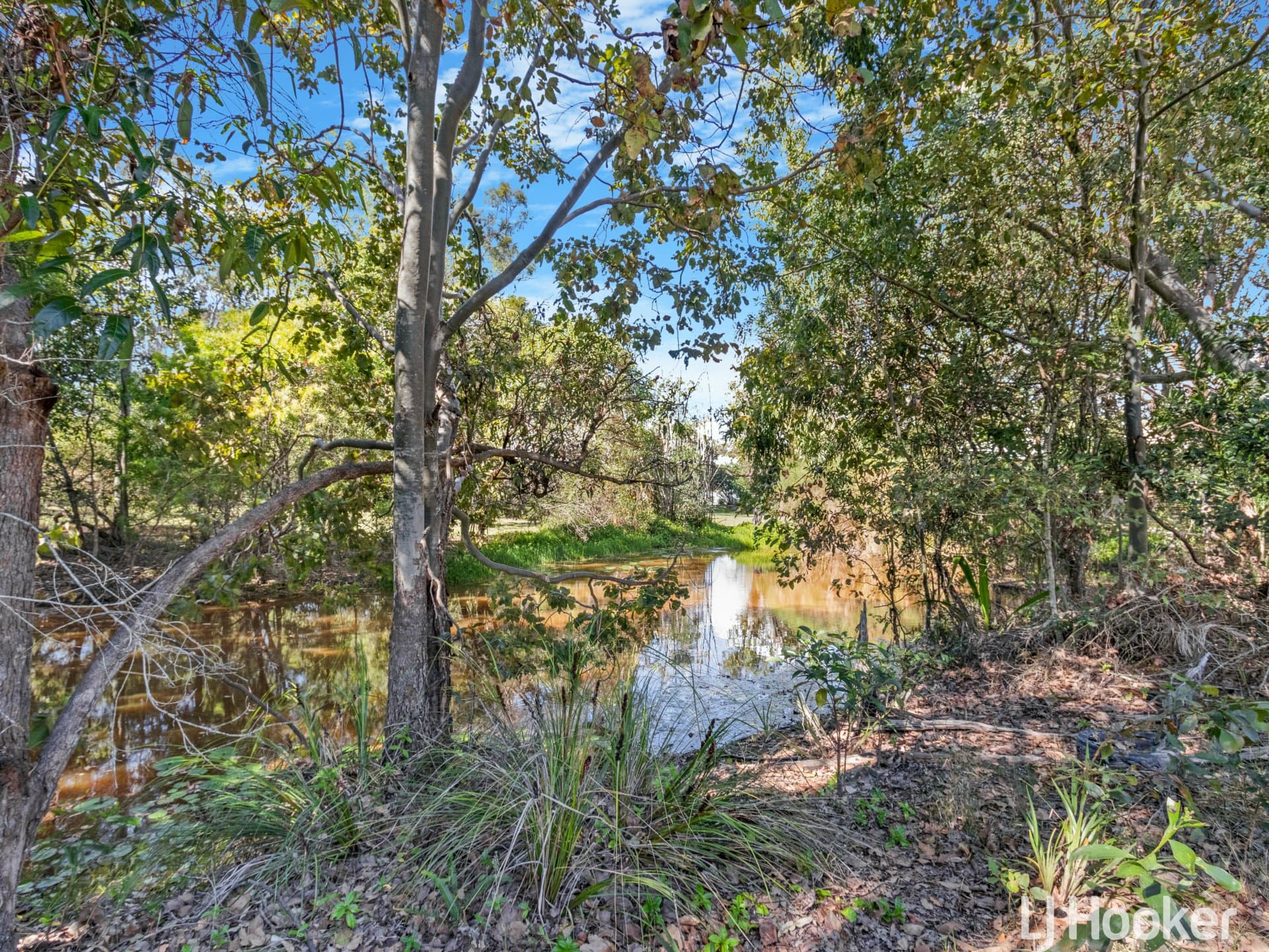 46 Sandrabarbara Drive, Booral, Booral - Thumbnail 3