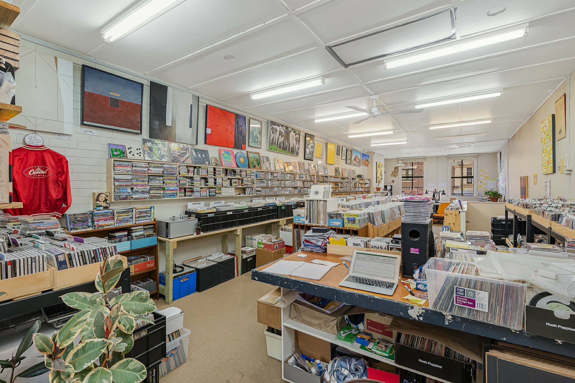 203 Carp Street, Bega, Bega - Thumbnail 4