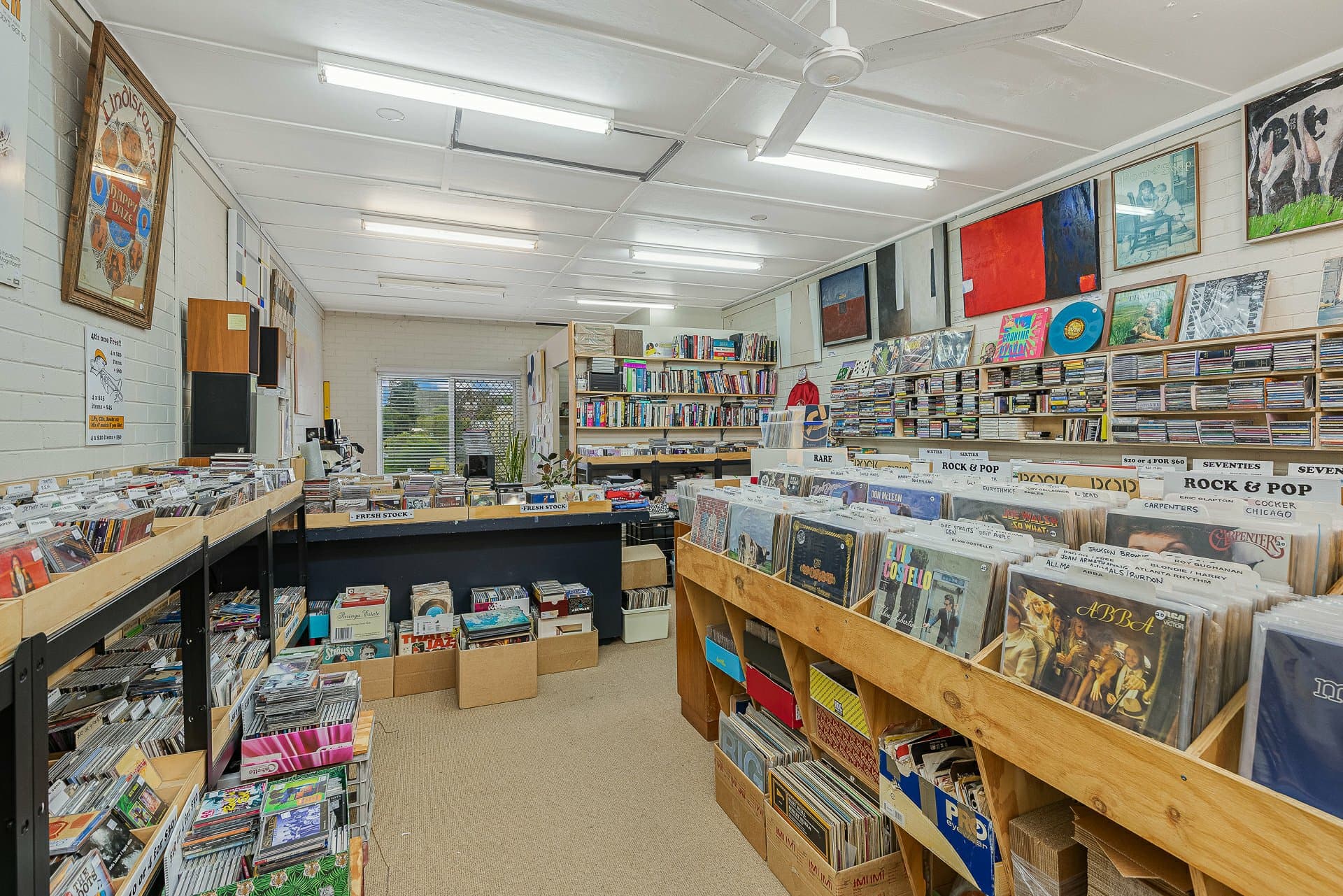 203 Carp Street, Bega, Bega - Thumbnail 5