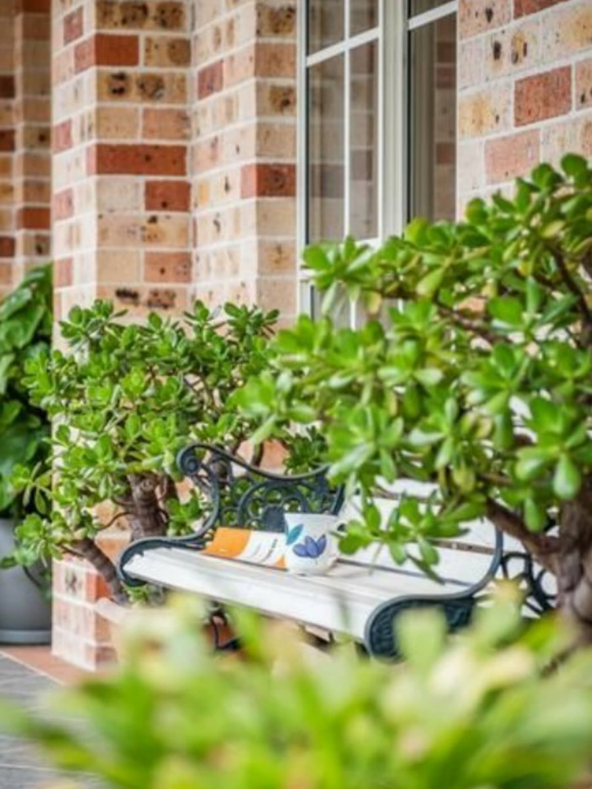 38 Kamilaroy Road, West Pymble, West Pymble - Thumbnail 4
