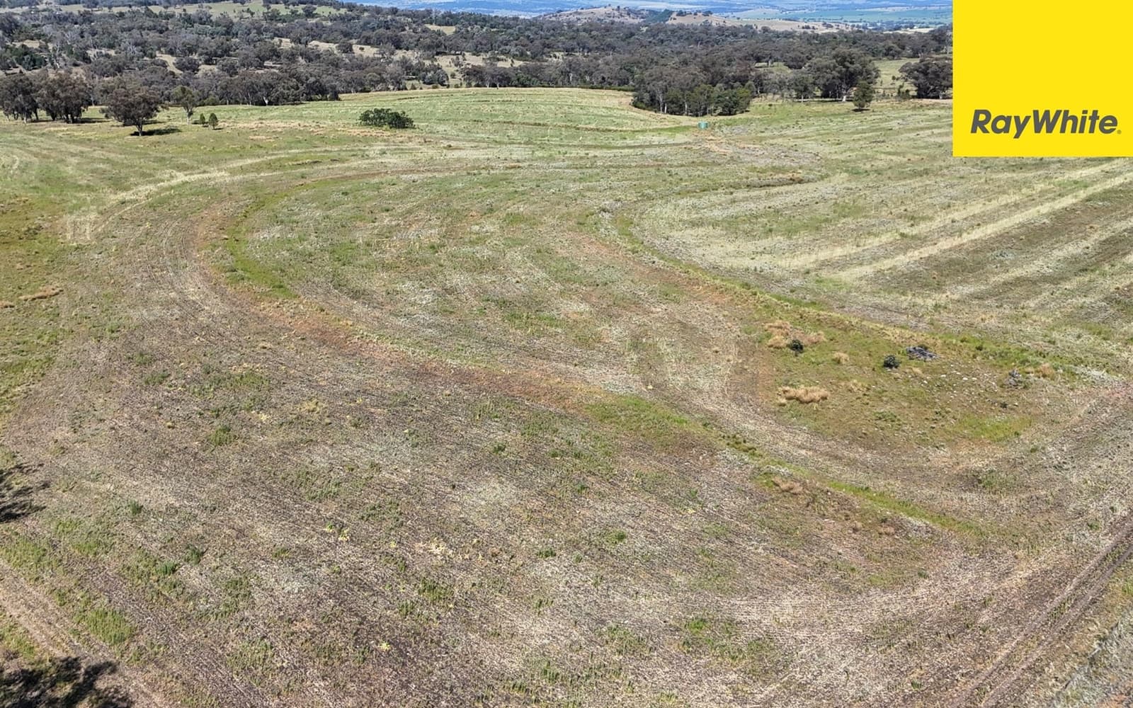 600 Blyths Lane, Delungra - Image 1
