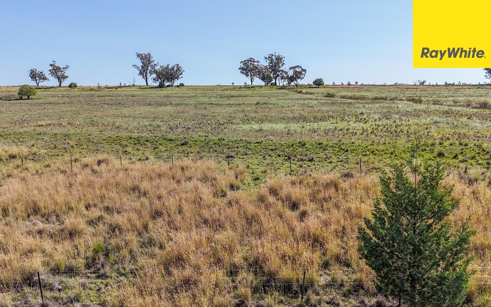 600 Blyths Lane, Delungra - Thumbnail 2