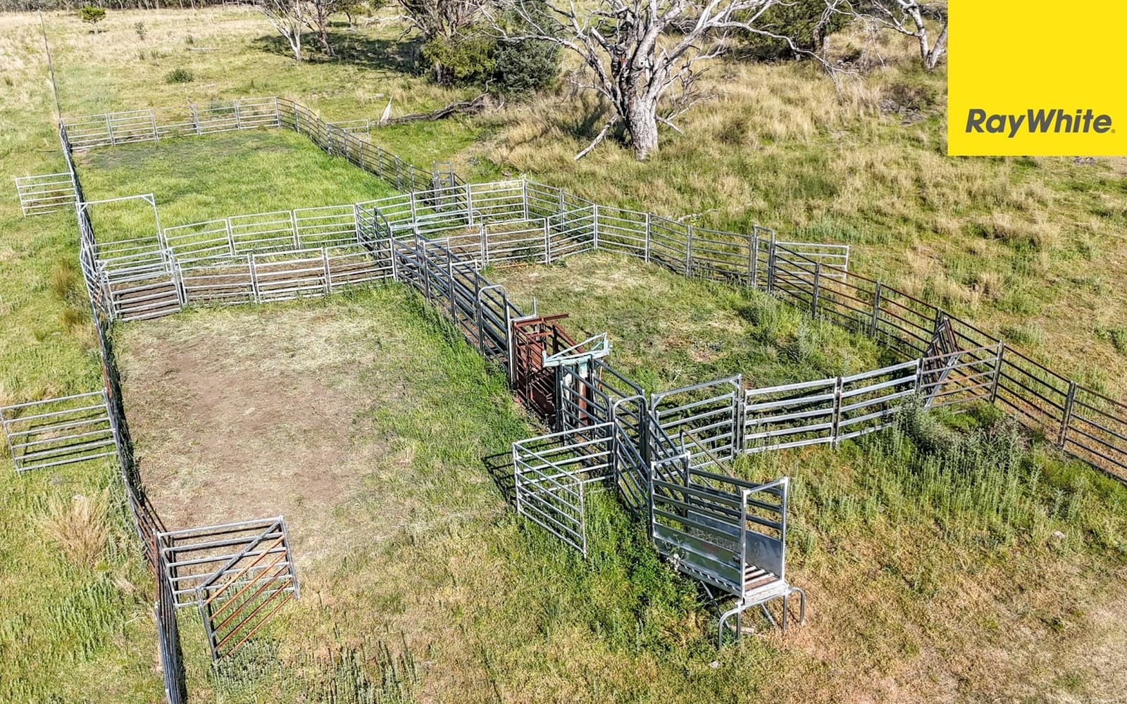 600 Blyths Lane, Delungra - Thumbnail 3