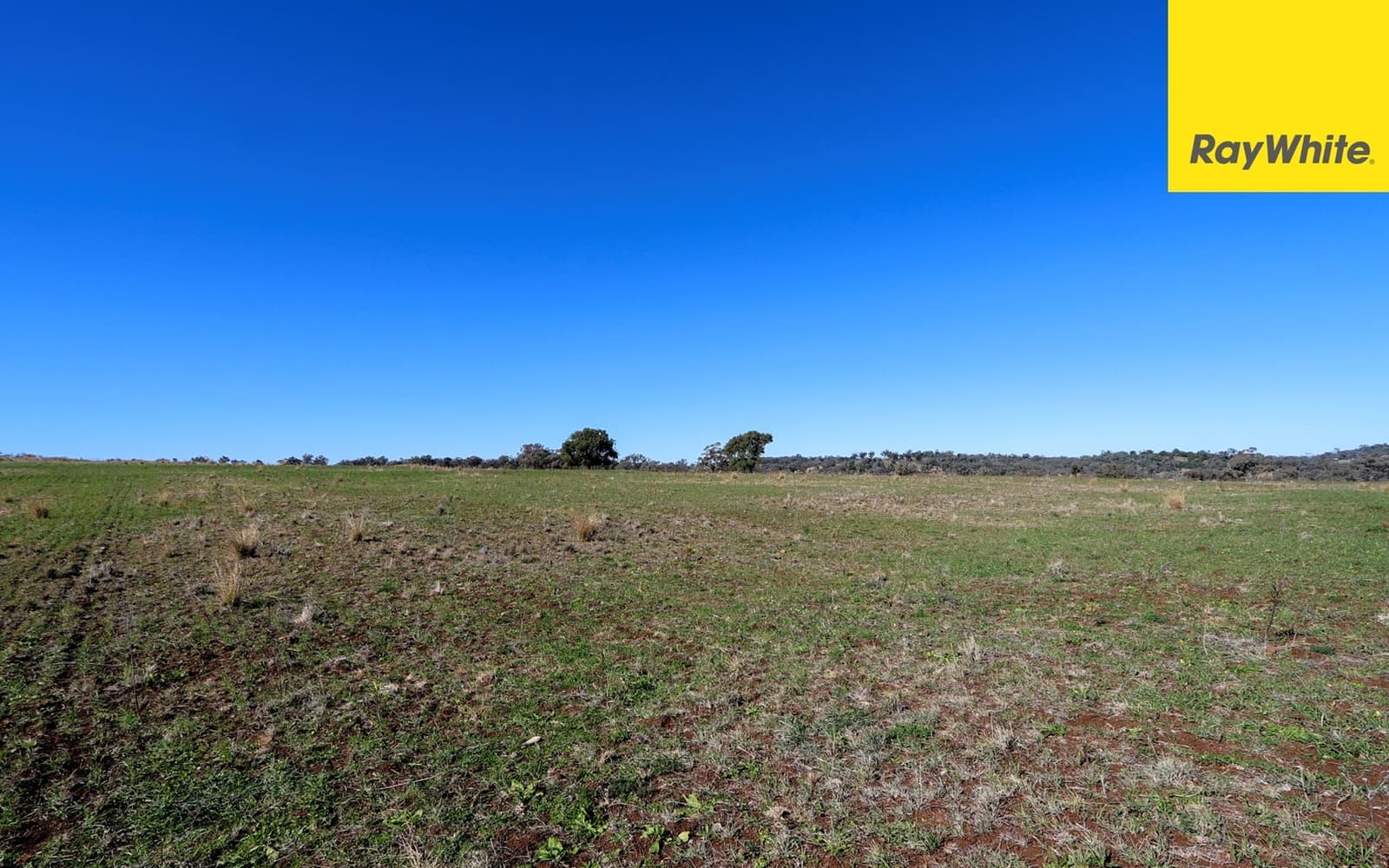 600 Blyths Lane, Delungra - Thumbnail 8