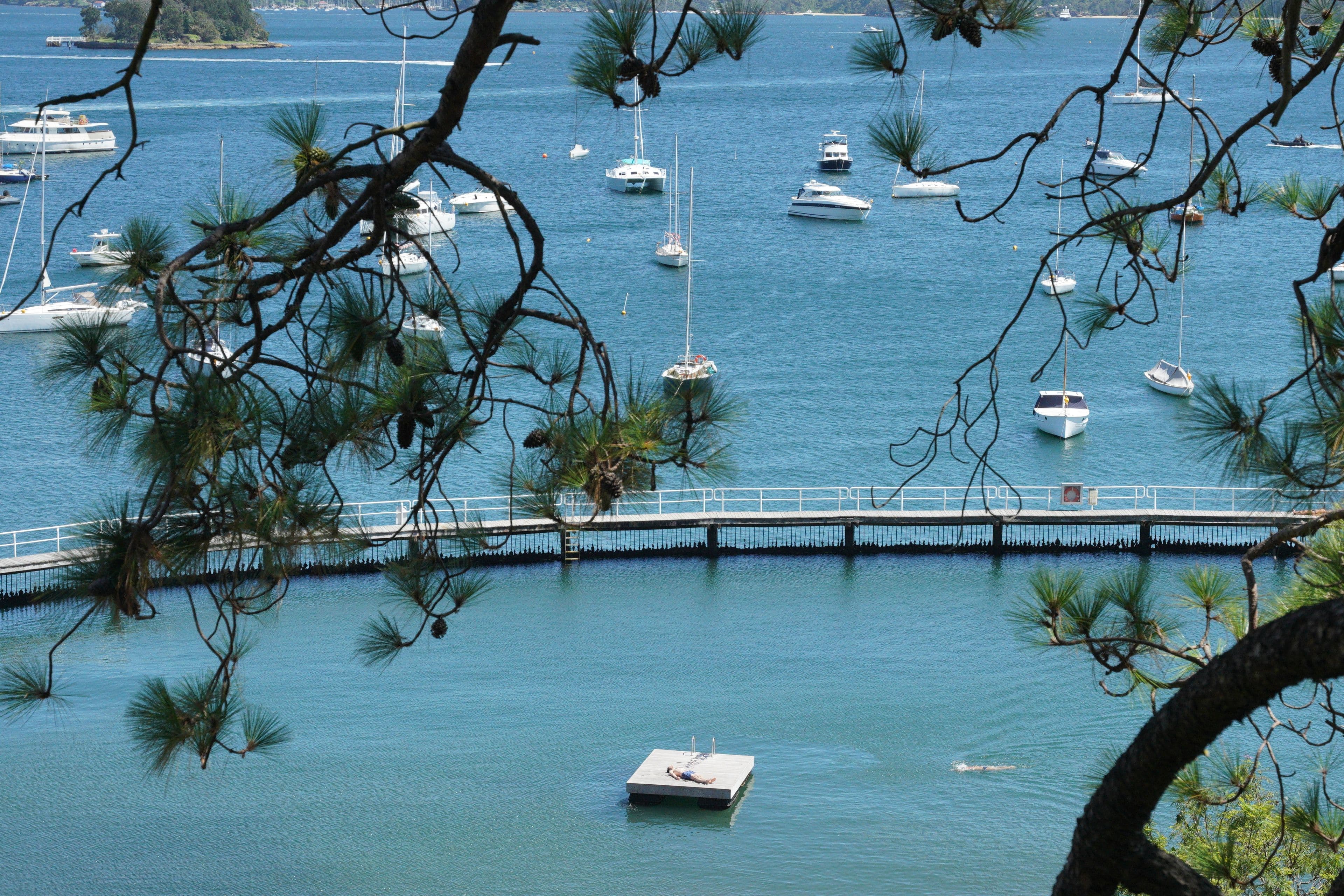 50 Bellevue Road, Bellevue Hill NSW 2023, Bellevue Hill - Thumbnail 7