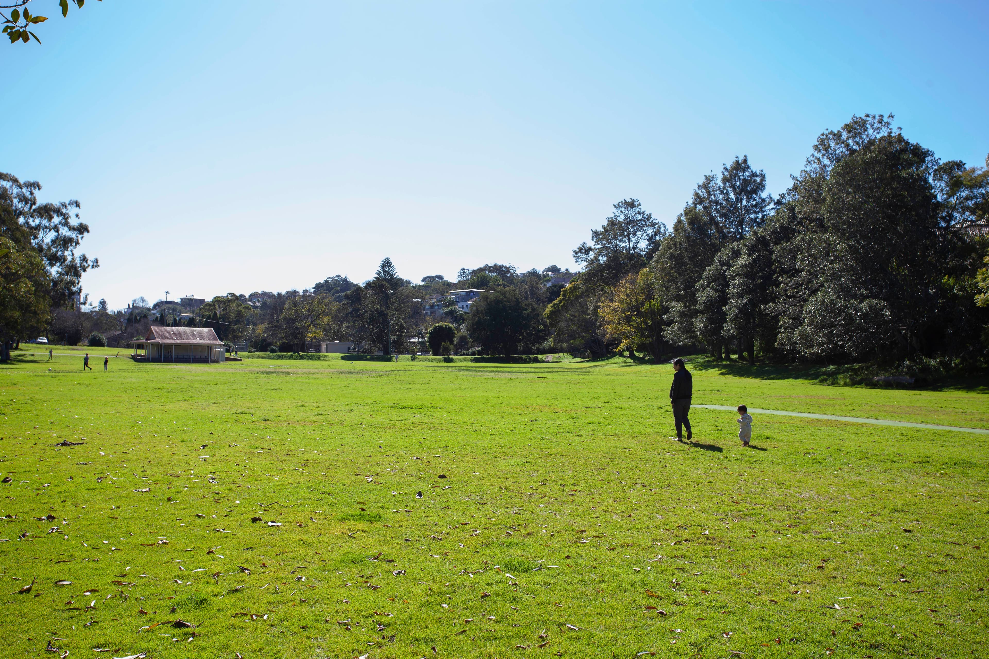 50 Bellevue Road, Bellevue Hill NSW 2023, Bellevue Hill - Thumbnail 8