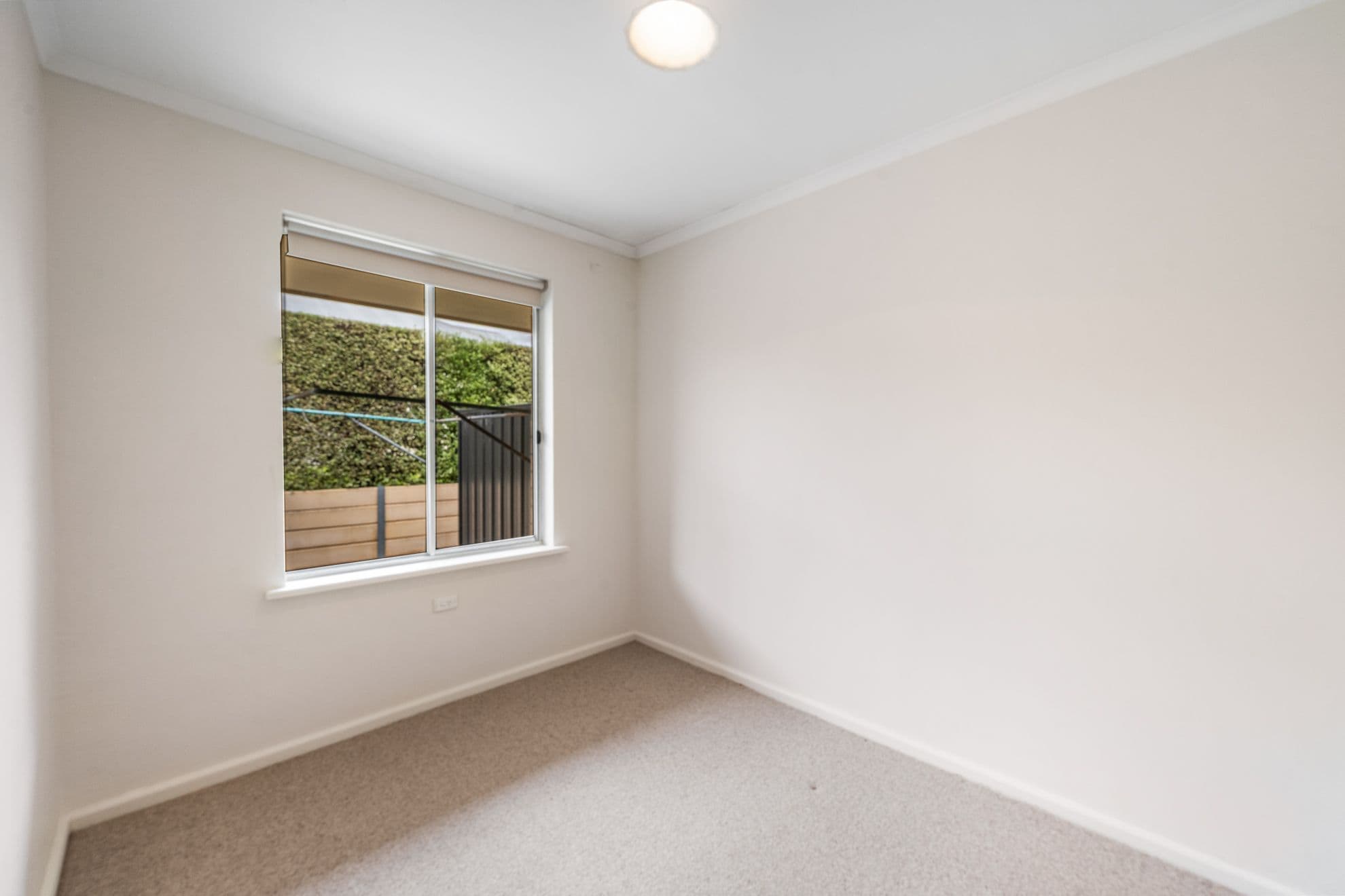 31 Bertha Street, Mount Gambier SA 5290, Mount Gambier - Thumbnail 6