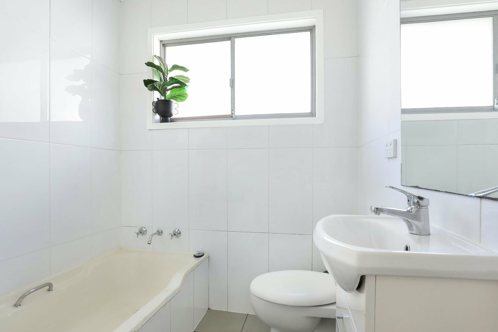 43 Bass Street, Barrack Heights, Barrack Heights - Thumbnail 5