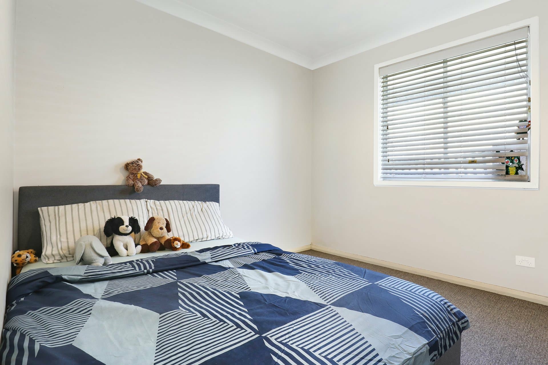 43 Bass Street, Barrack Heights, Barrack Heights - Thumbnail 6