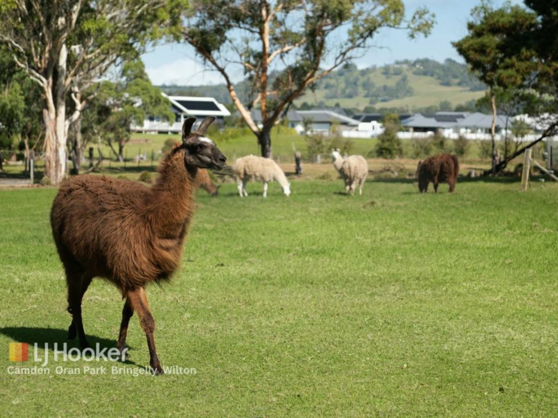 45 Inkerman Road, Balaclava - Thumbnail 4