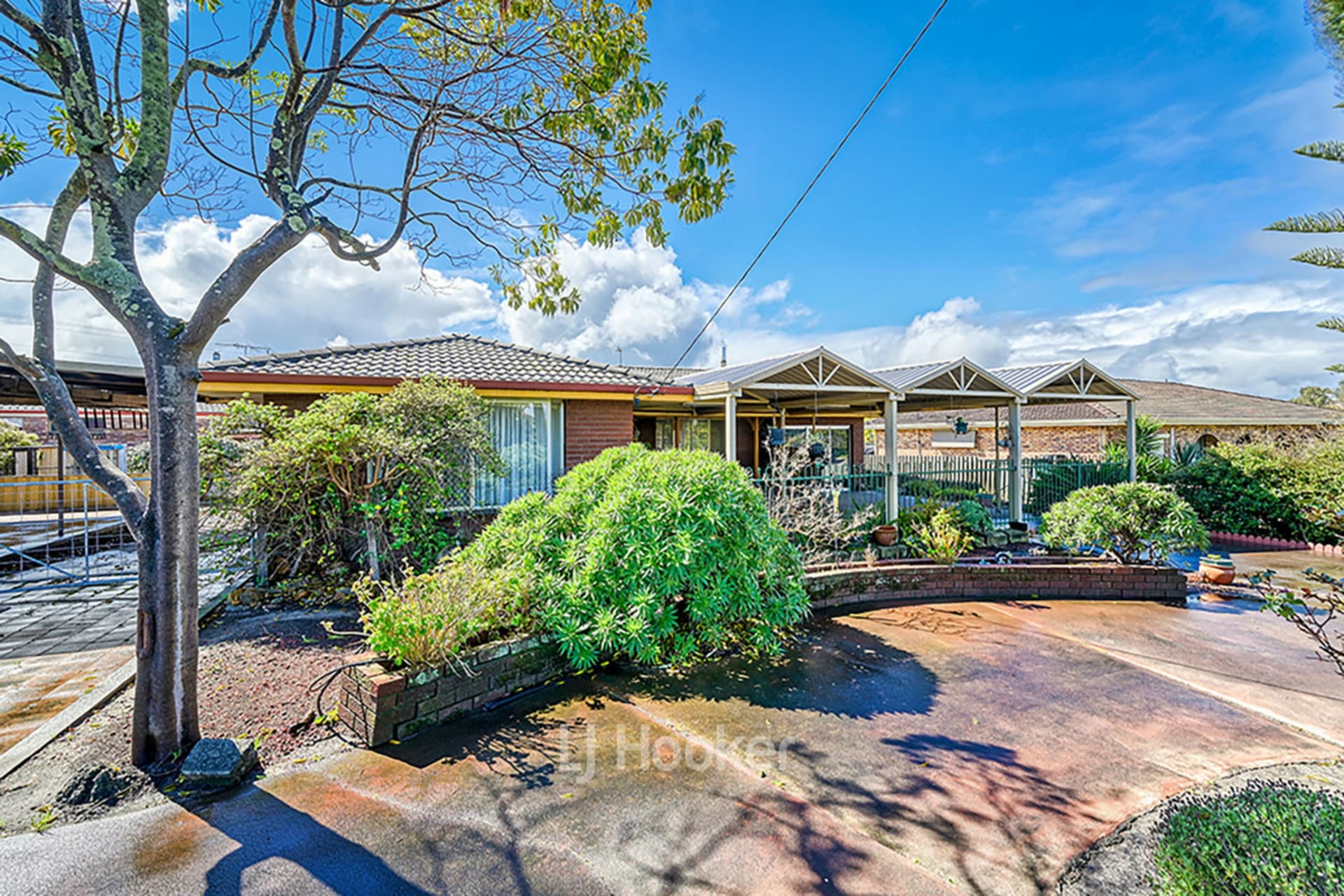 22 Deakin Street, Collie, Collie - Thumbnail 2