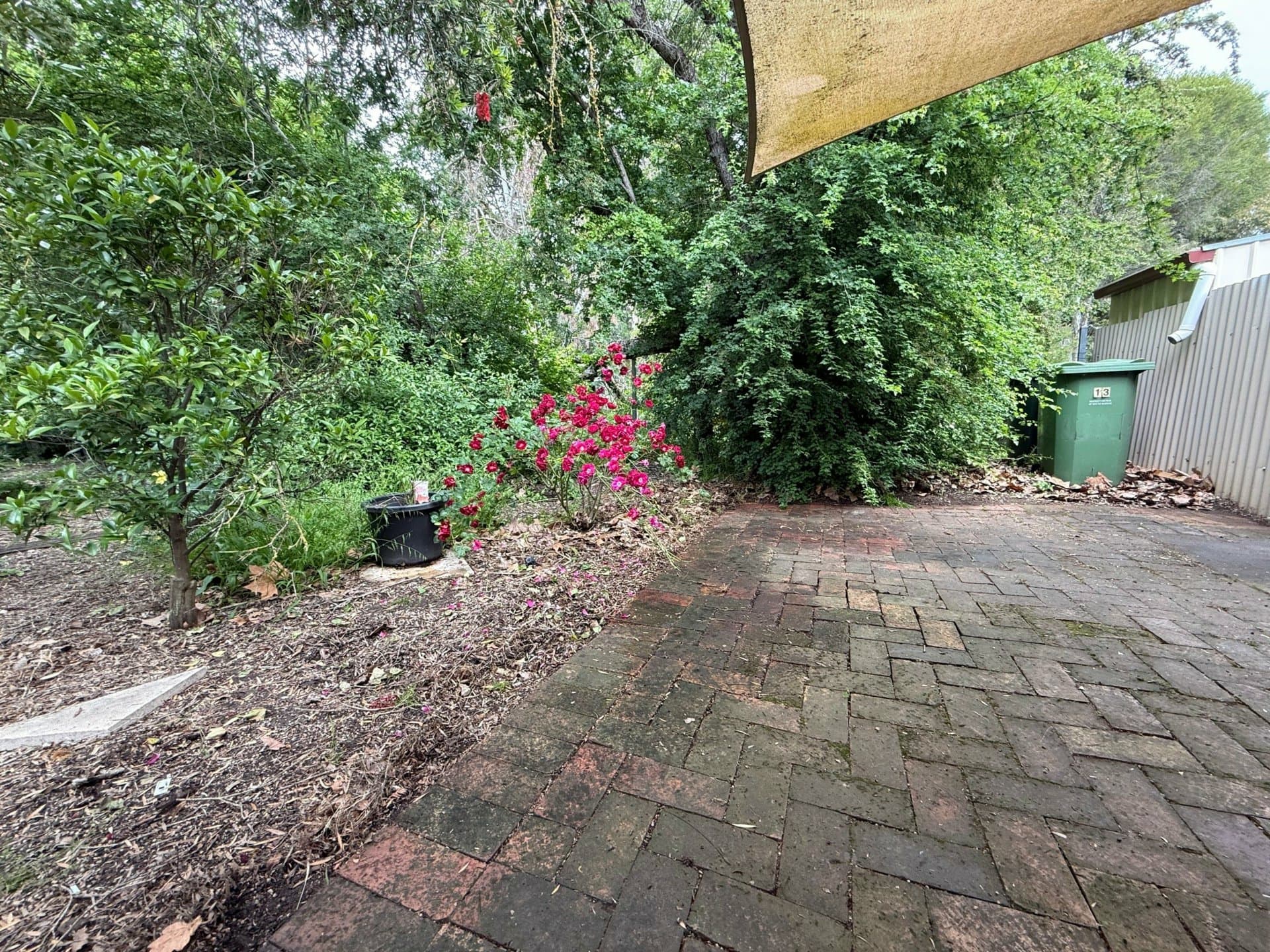 13/76 Gawler Street, Mount Barker, Mount Barker - Thumbnail 5