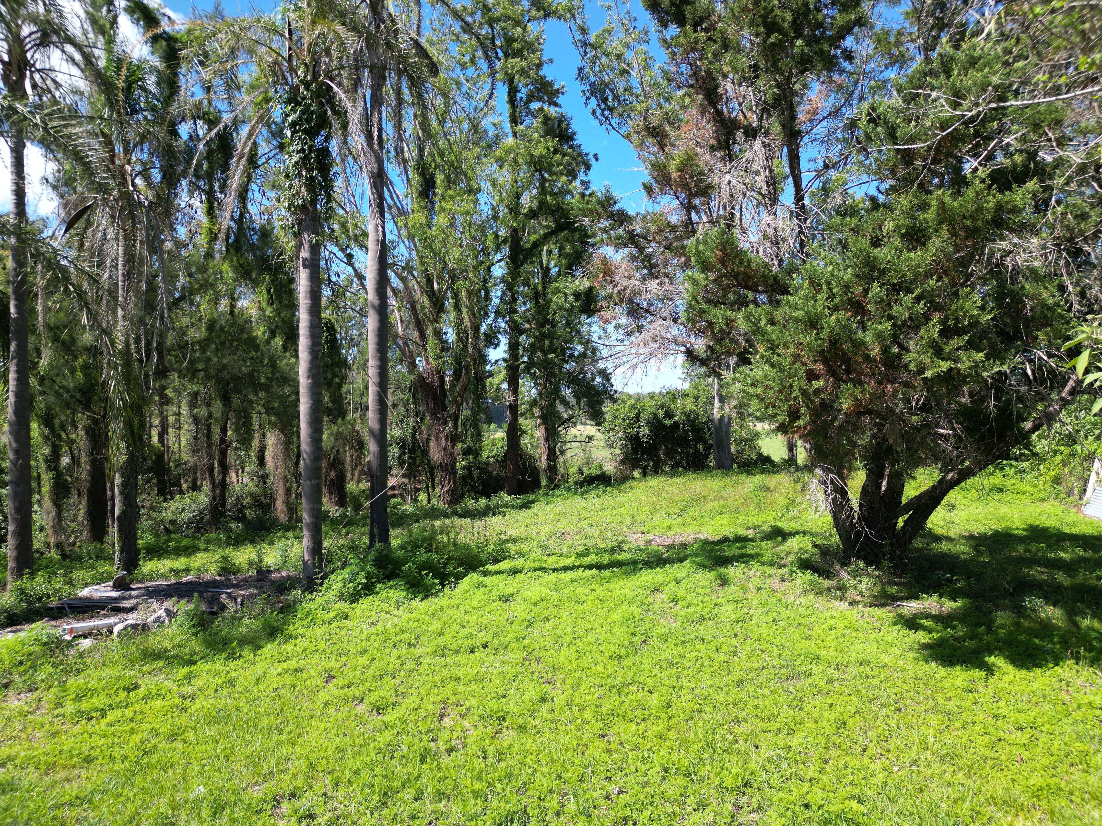 9 Barnes Street, Tabulam NSW 2469, Tabulam - Thumbnail 4