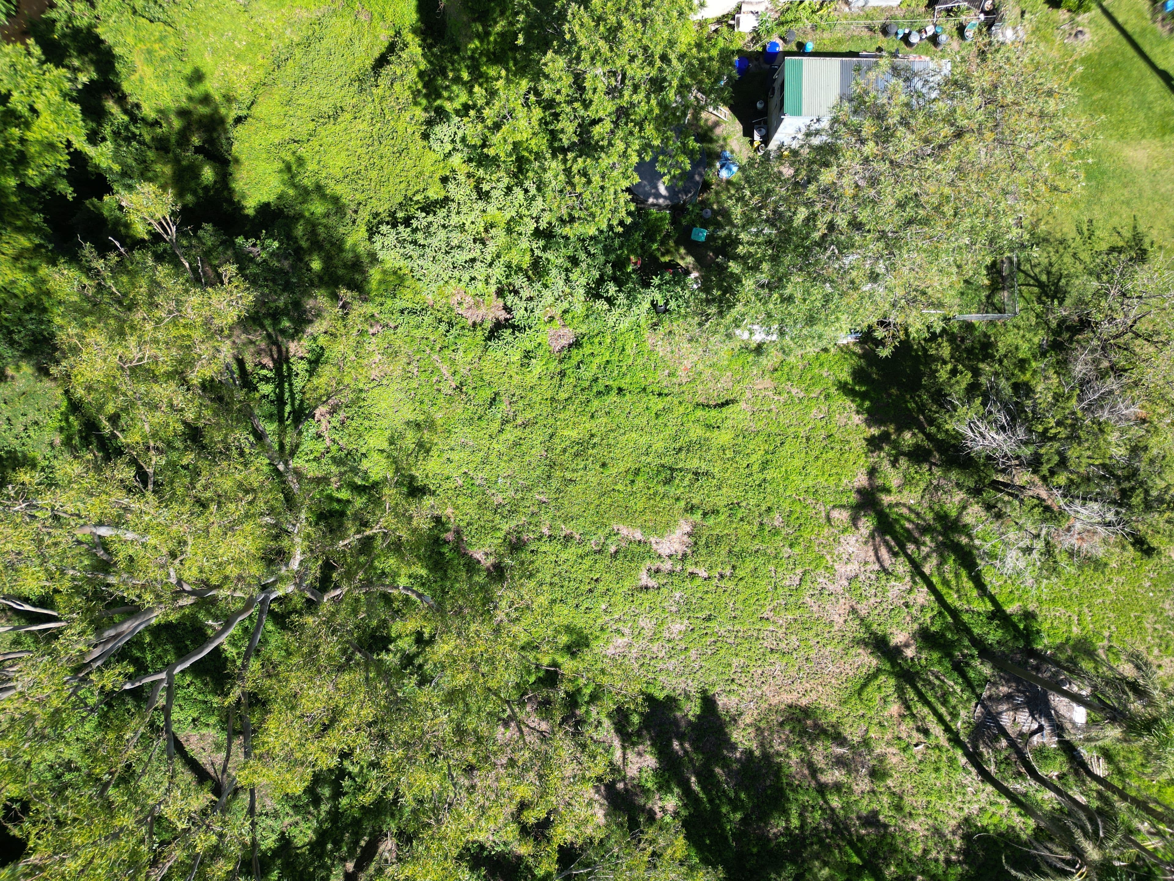 9 Barnes Street, Tabulam NSW 2469, Tabulam - Thumbnail 6