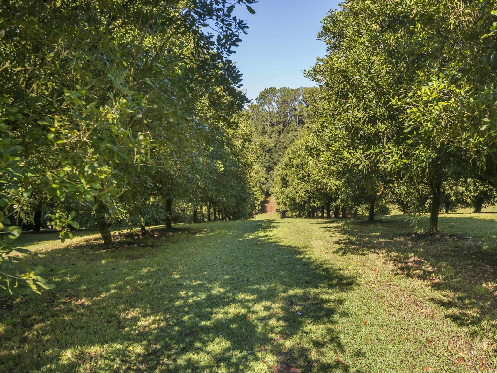 710 Cowlong Road, Eltham, Eltham - Thumbnail 2