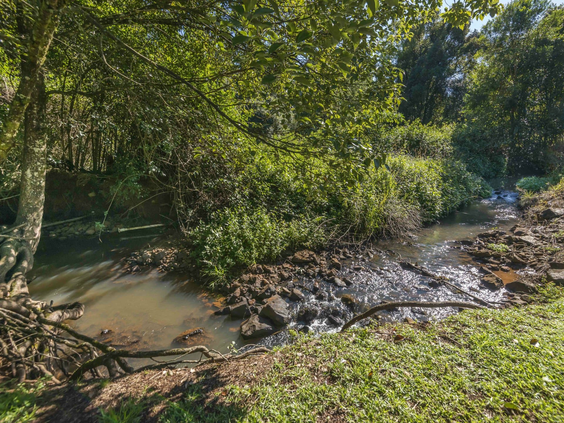 710 Cowlong Road, Eltham, Eltham - Thumbnail 3