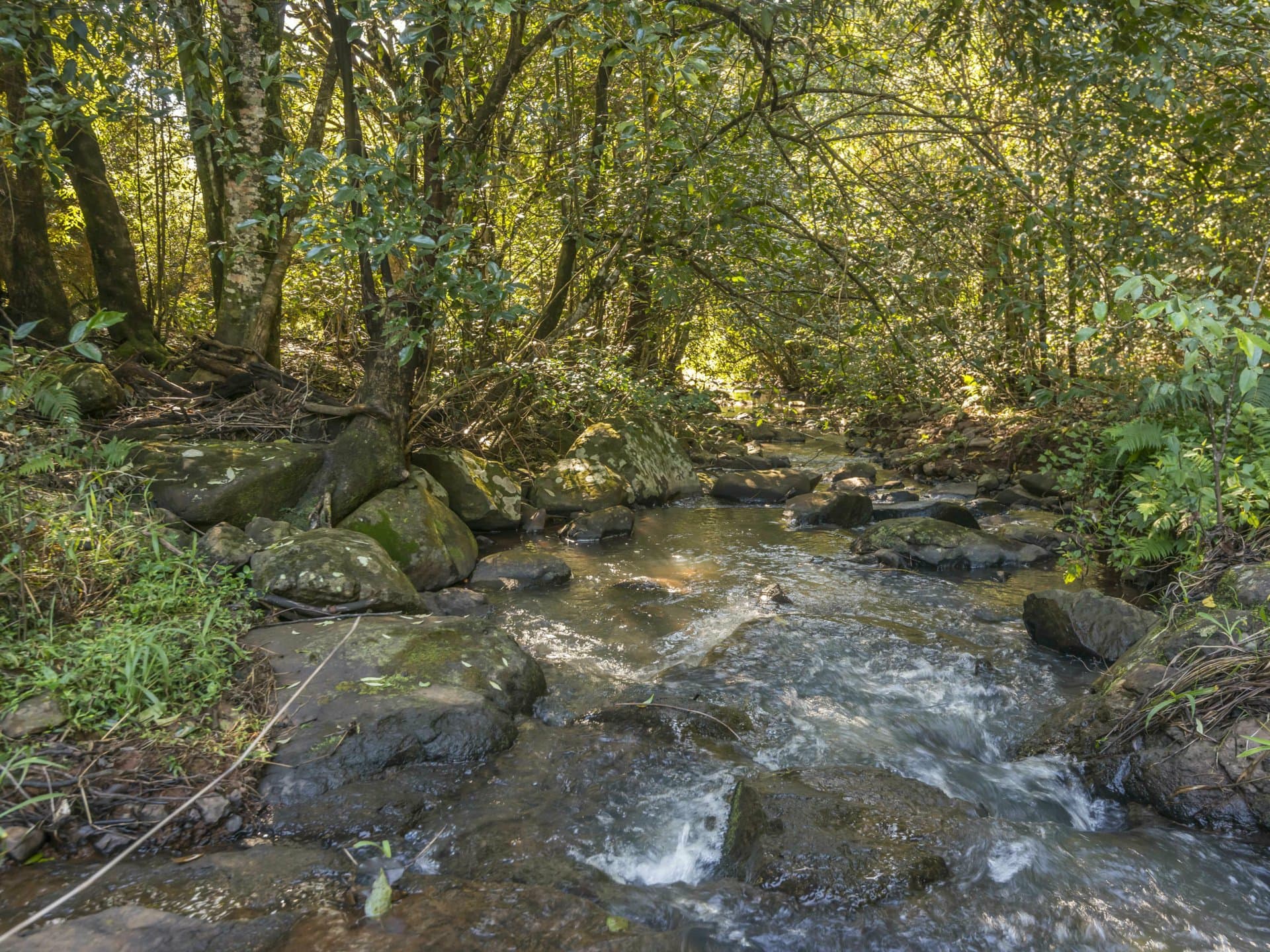 710 Cowlong Road, Eltham, Eltham - Thumbnail 6