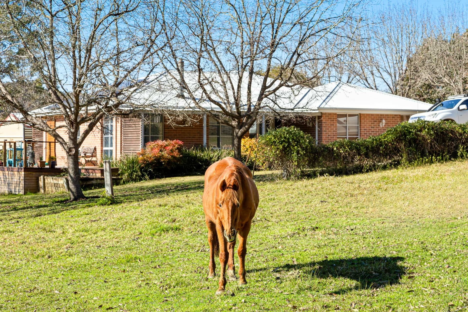 233 Wamban Road, Moruya, Wamban - Thumbnail 5