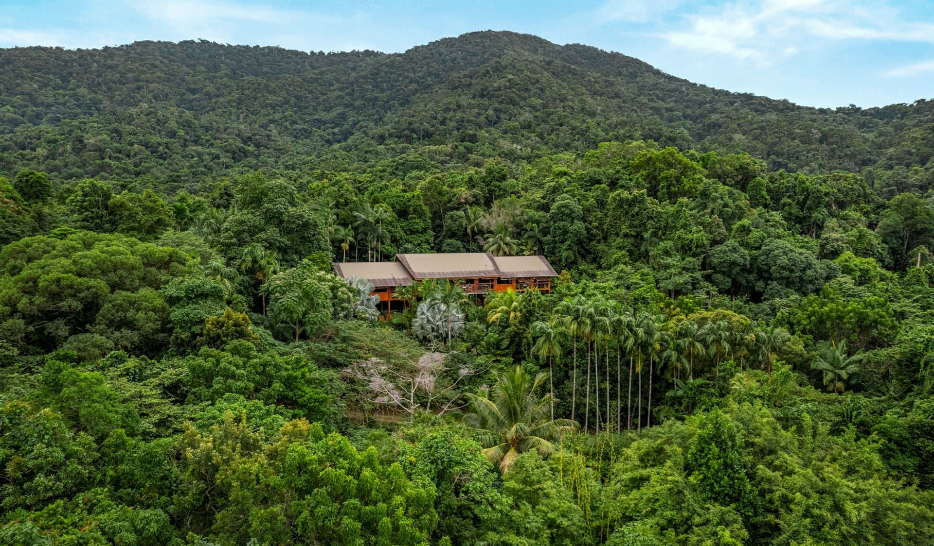 257 Cape Kimberley Road, Daintree, Daintree - Thumbnail 2