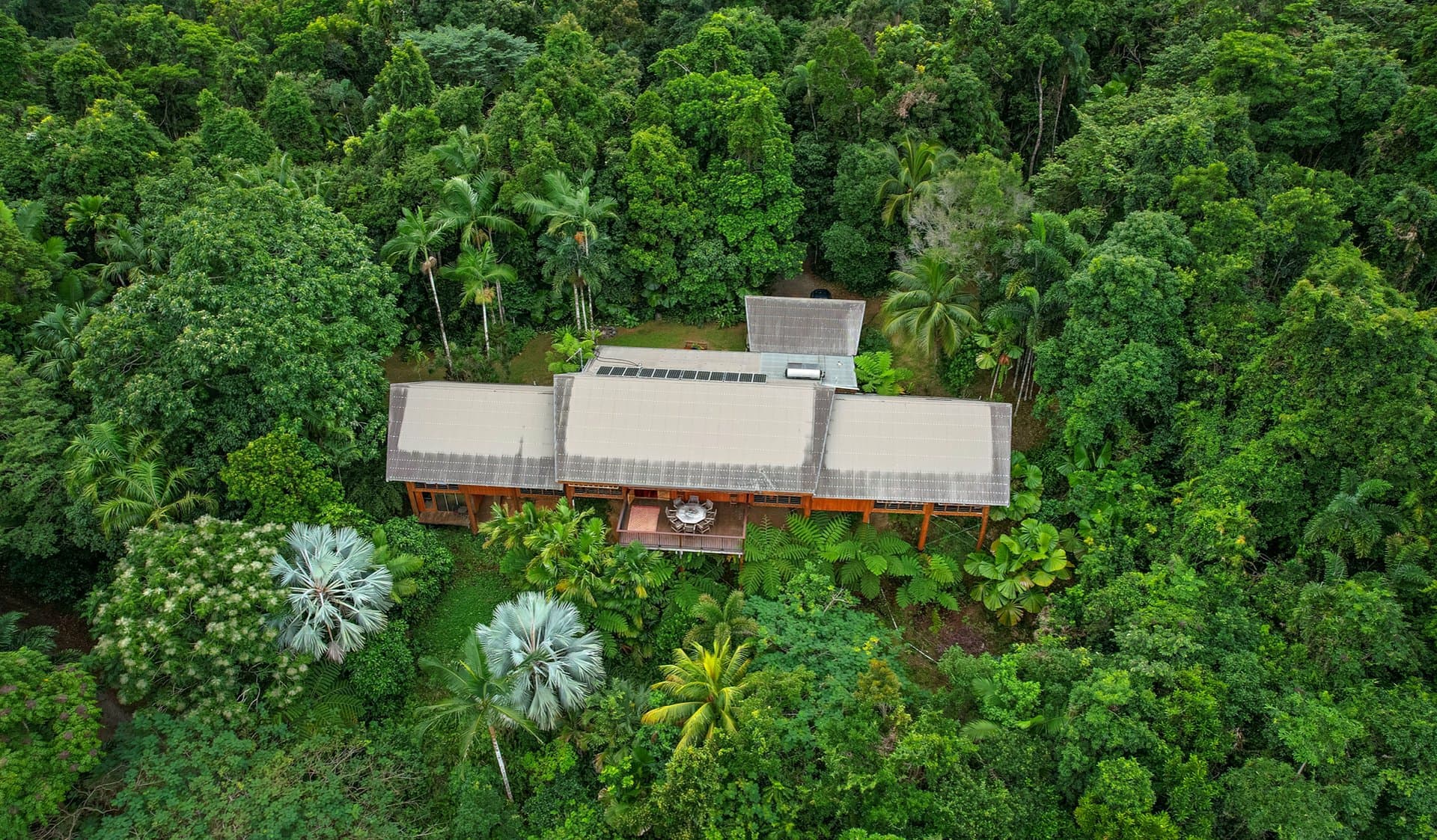 257 Cape Kimberley Road, Daintree, Daintree - Thumbnail 4