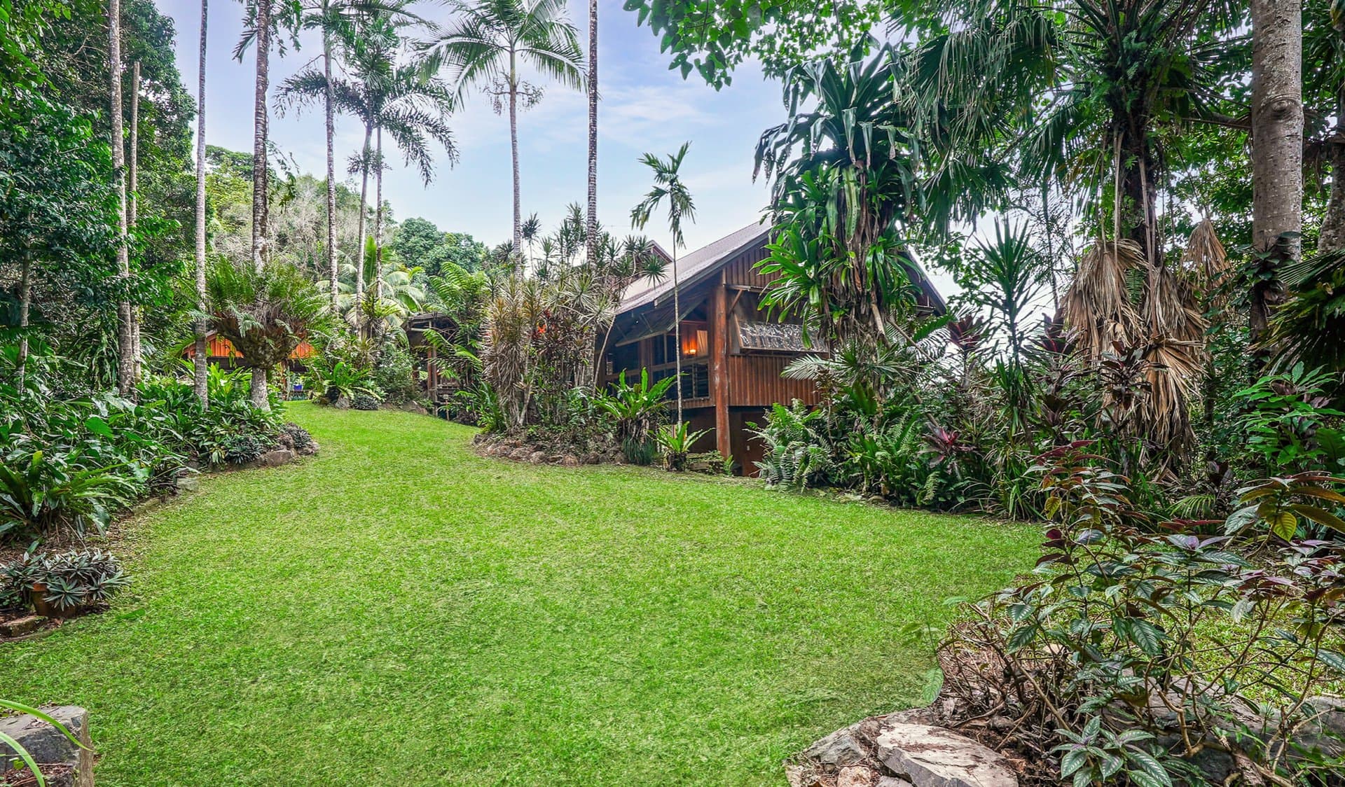 257 Cape Kimberley Road, Daintree, Daintree - Thumbnail 7