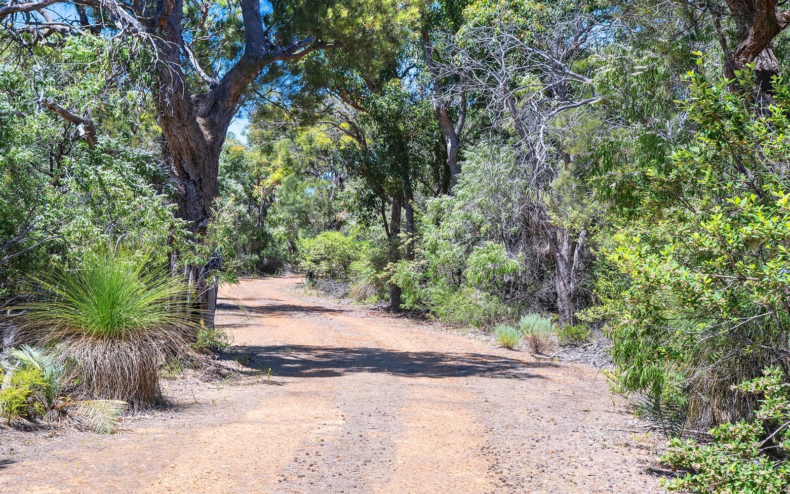 72 Judd Road, Gracetown WA 6284, Gracetown - Thumbnail 6
