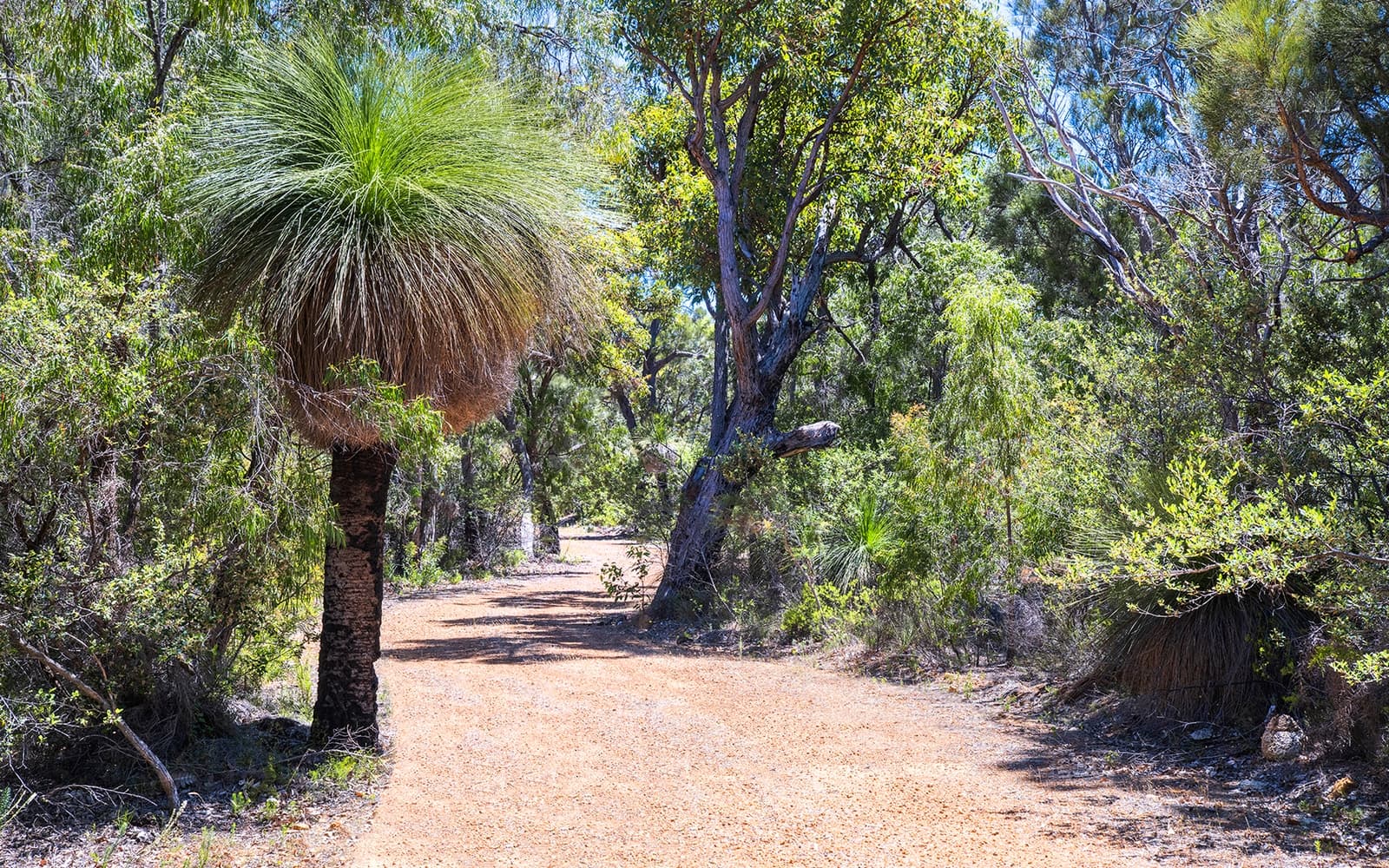 72 Judd Road, Gracetown WA 6284, Gracetown - Thumbnail 7