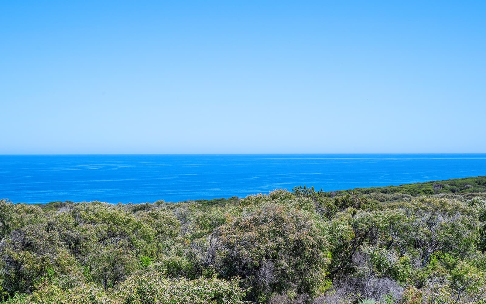 72 Judd Road, Gracetown WA 6284, Gracetown - Thumbnail 8