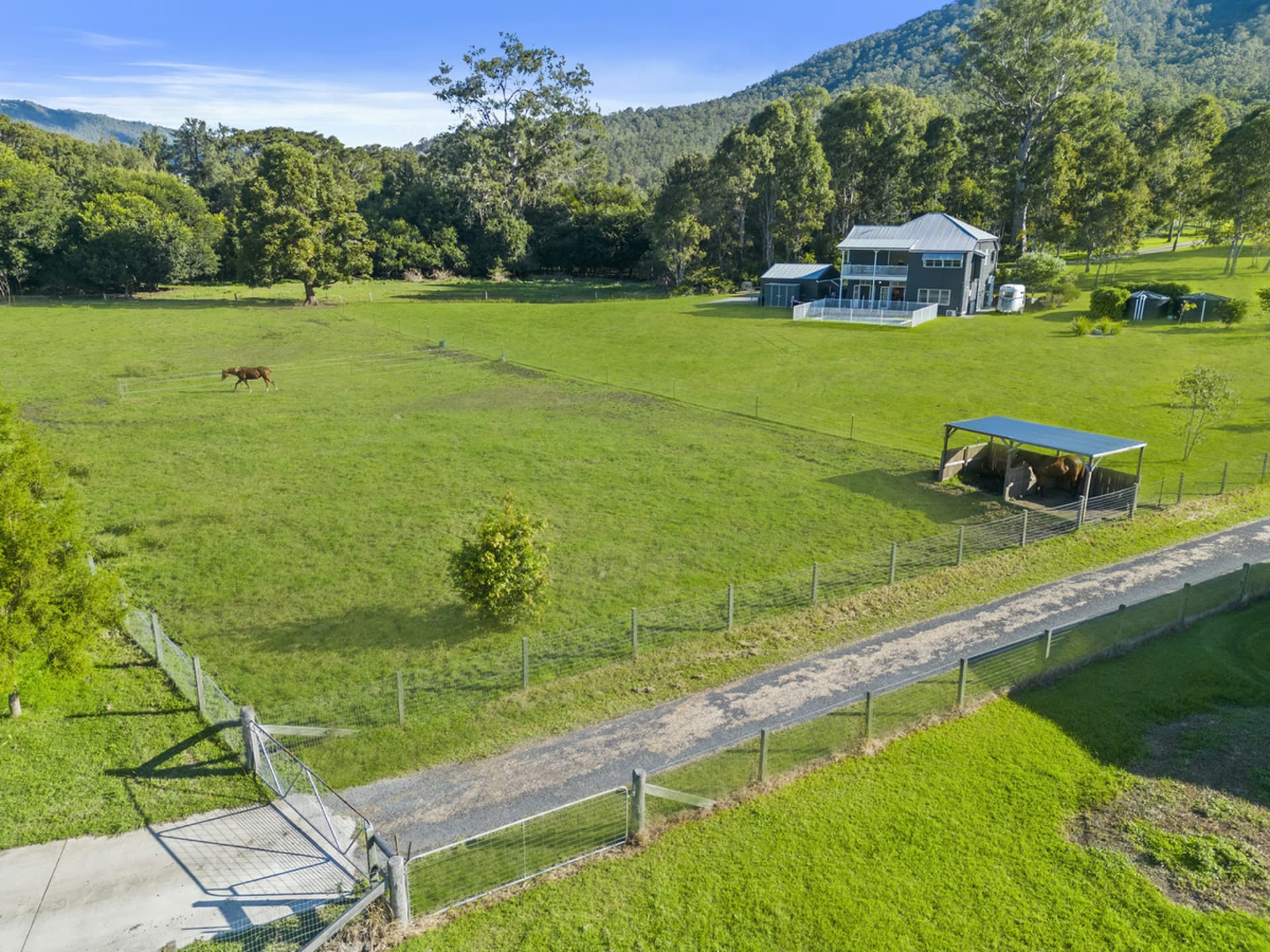 2368 Beaudesert-Nerang Road, Canungra, Canungra - Thumbnail 7