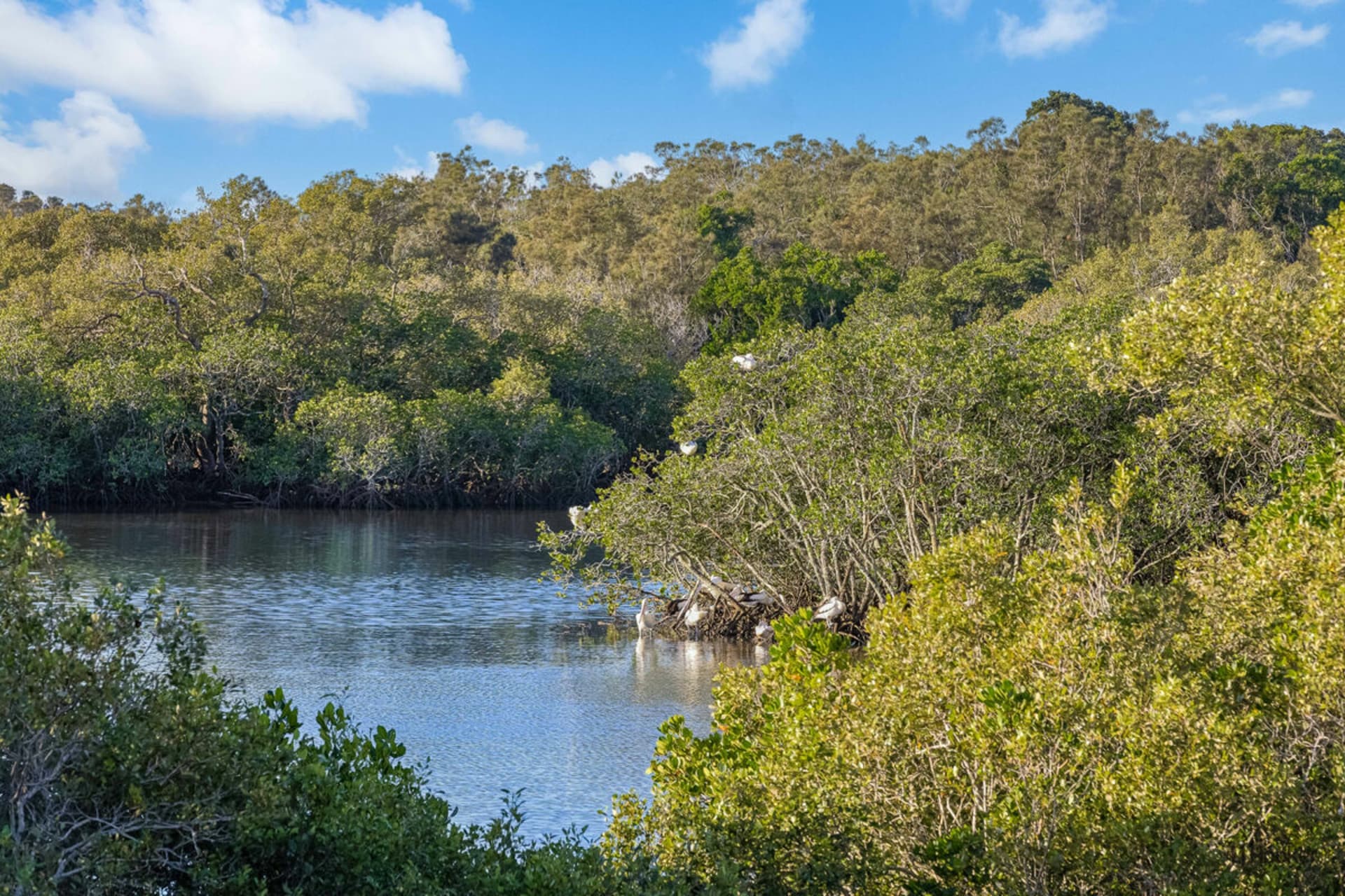 14 Water Street, Tweed Heads South, Tweed Heads South - Thumbnail 3