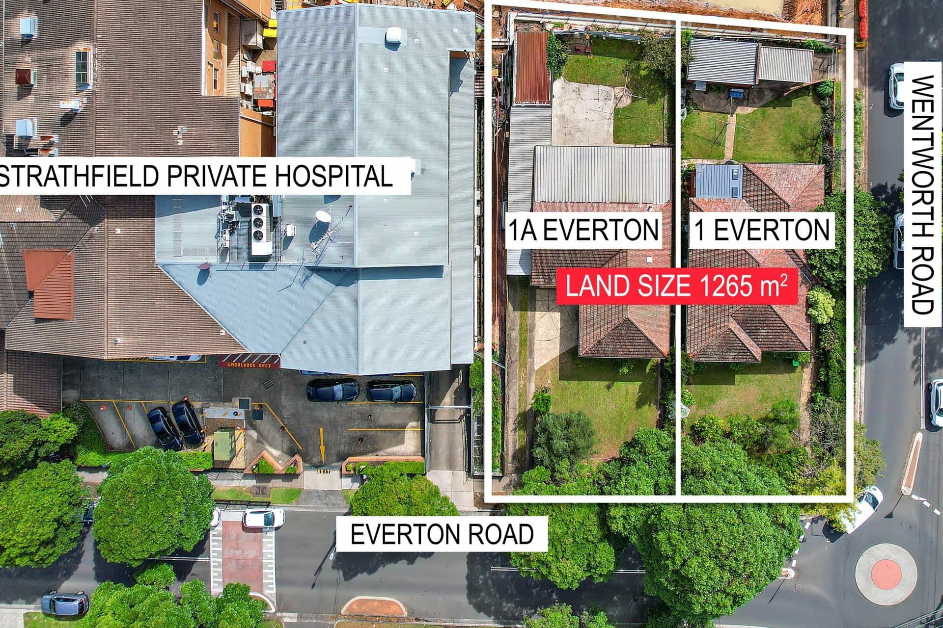 1 & 1A Everton Road, Strathfield, Strathfield - Thumbnail 6
