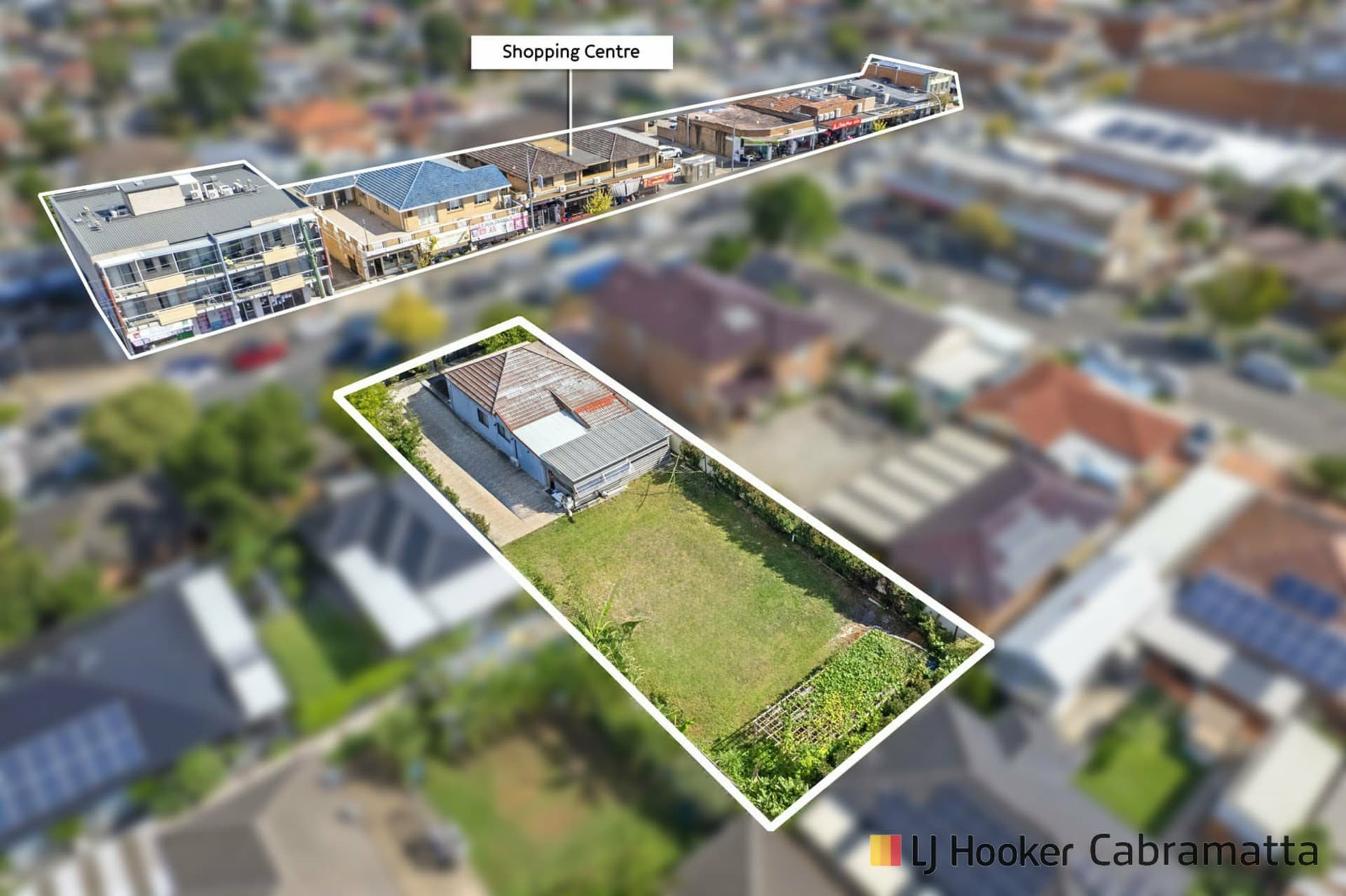 197 Canley Vale Road, Canley Heights, Canley Heights - Thumbnail 2