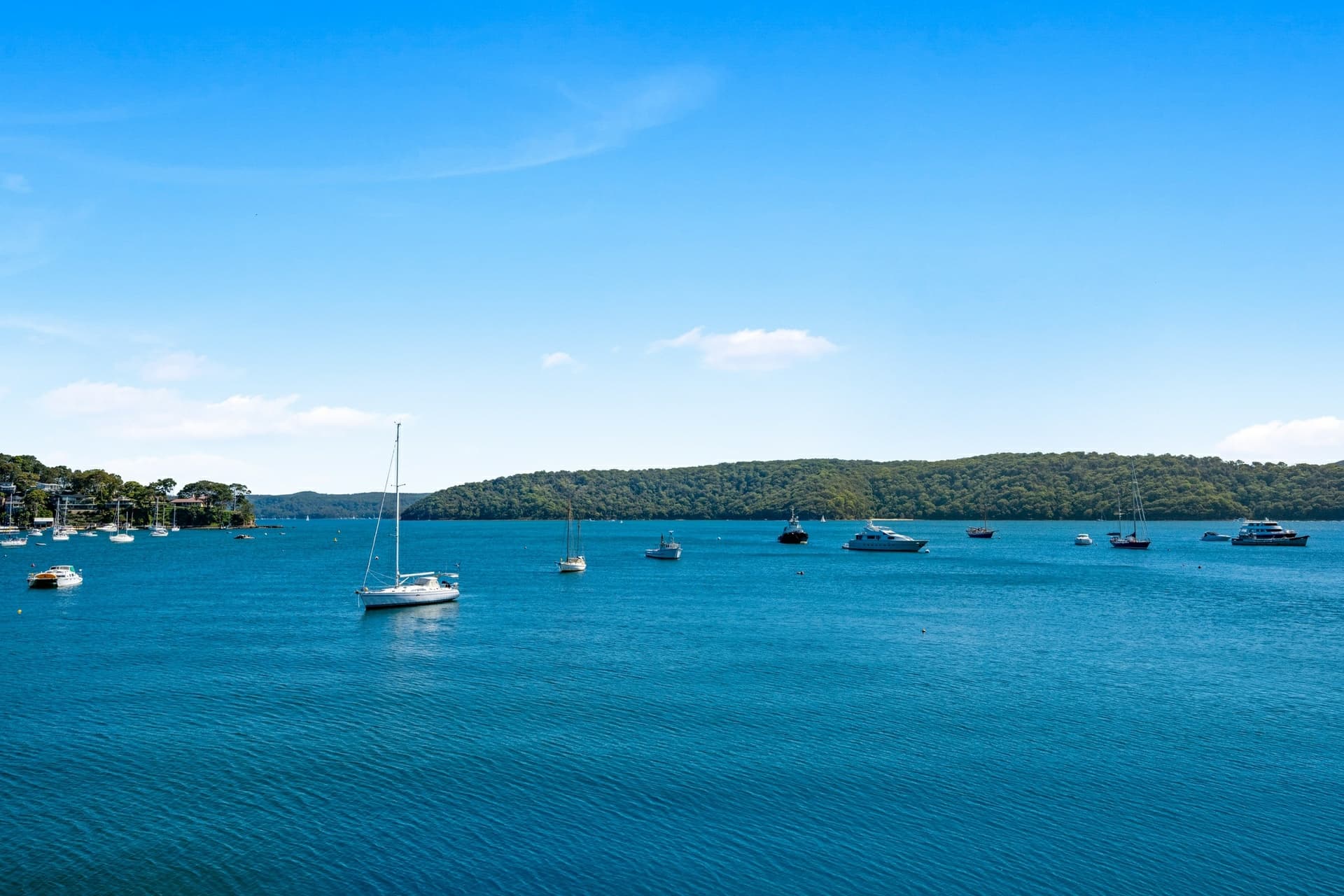 953 Barrenjoey Road, Palm Beach, Palm Beach - Thumbnail 8