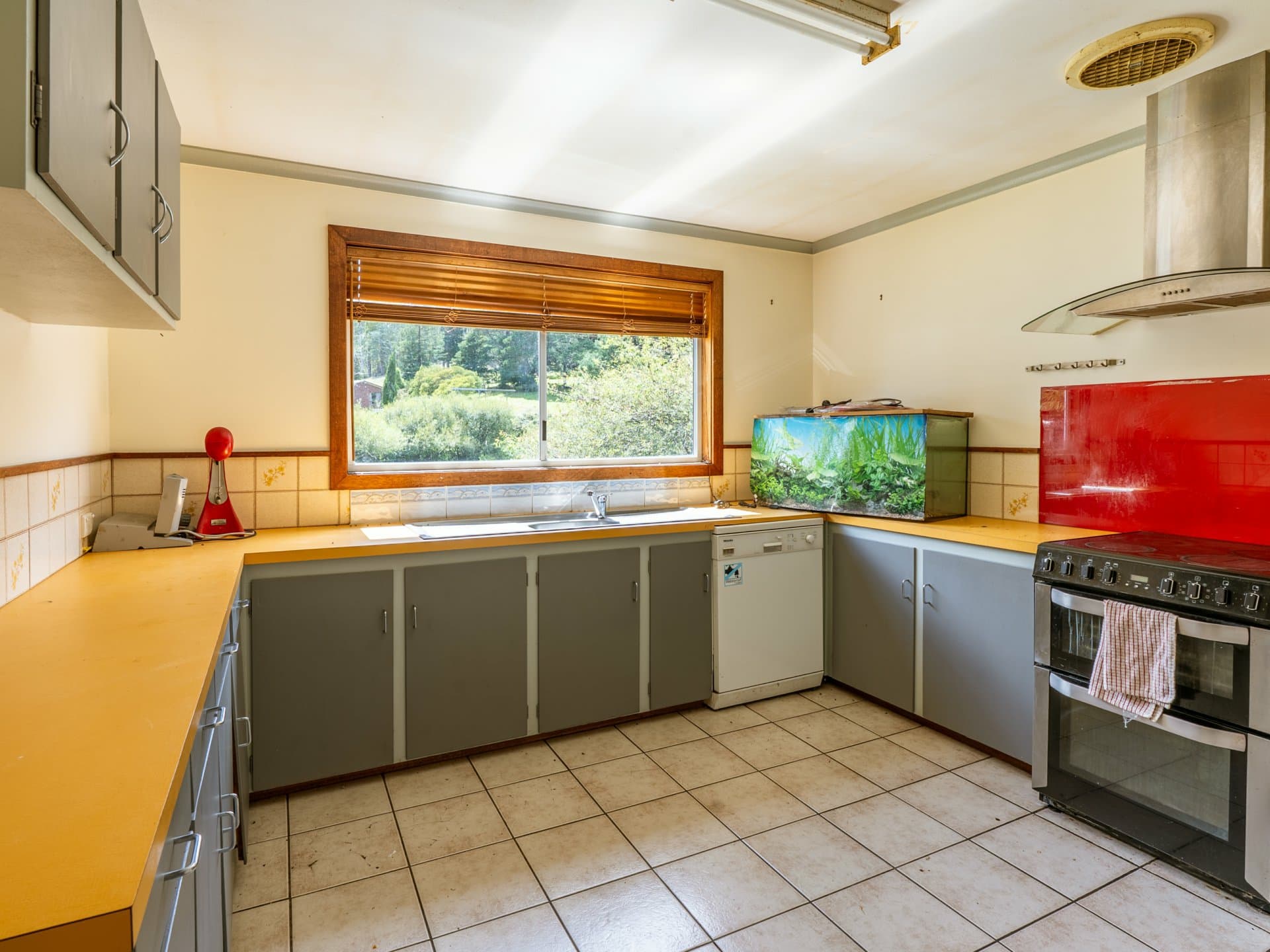 9 Royles Road, St Marys, St Marys - Thumbnail 4