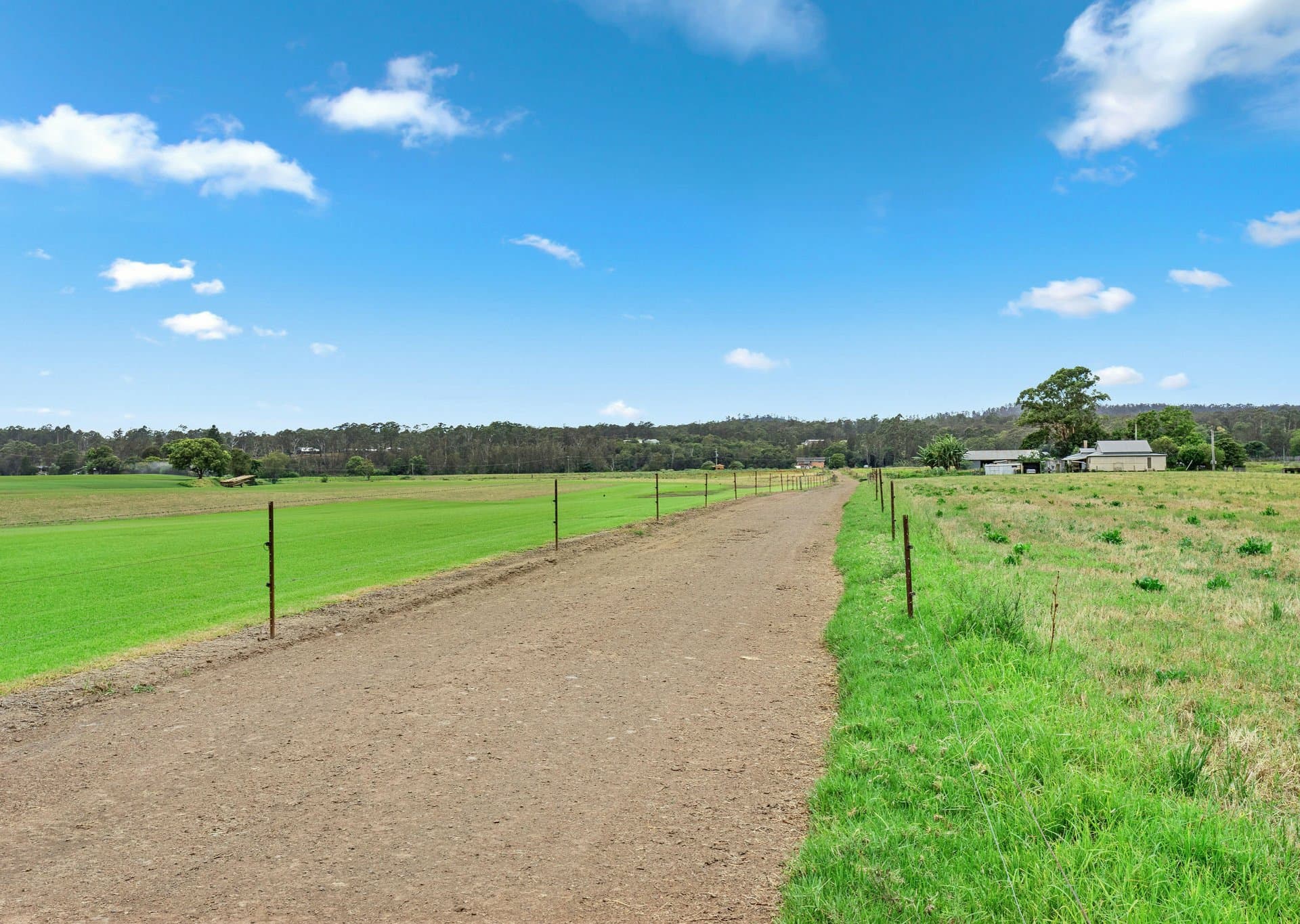 295 Edinburgh Drive, Taree, Taree - Thumbnail 4