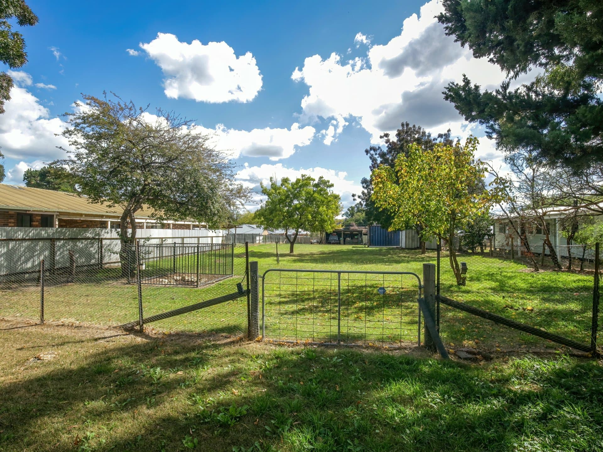 49 Butmaroo Street, Bungendore, Bungendore - Thumbnail 4
