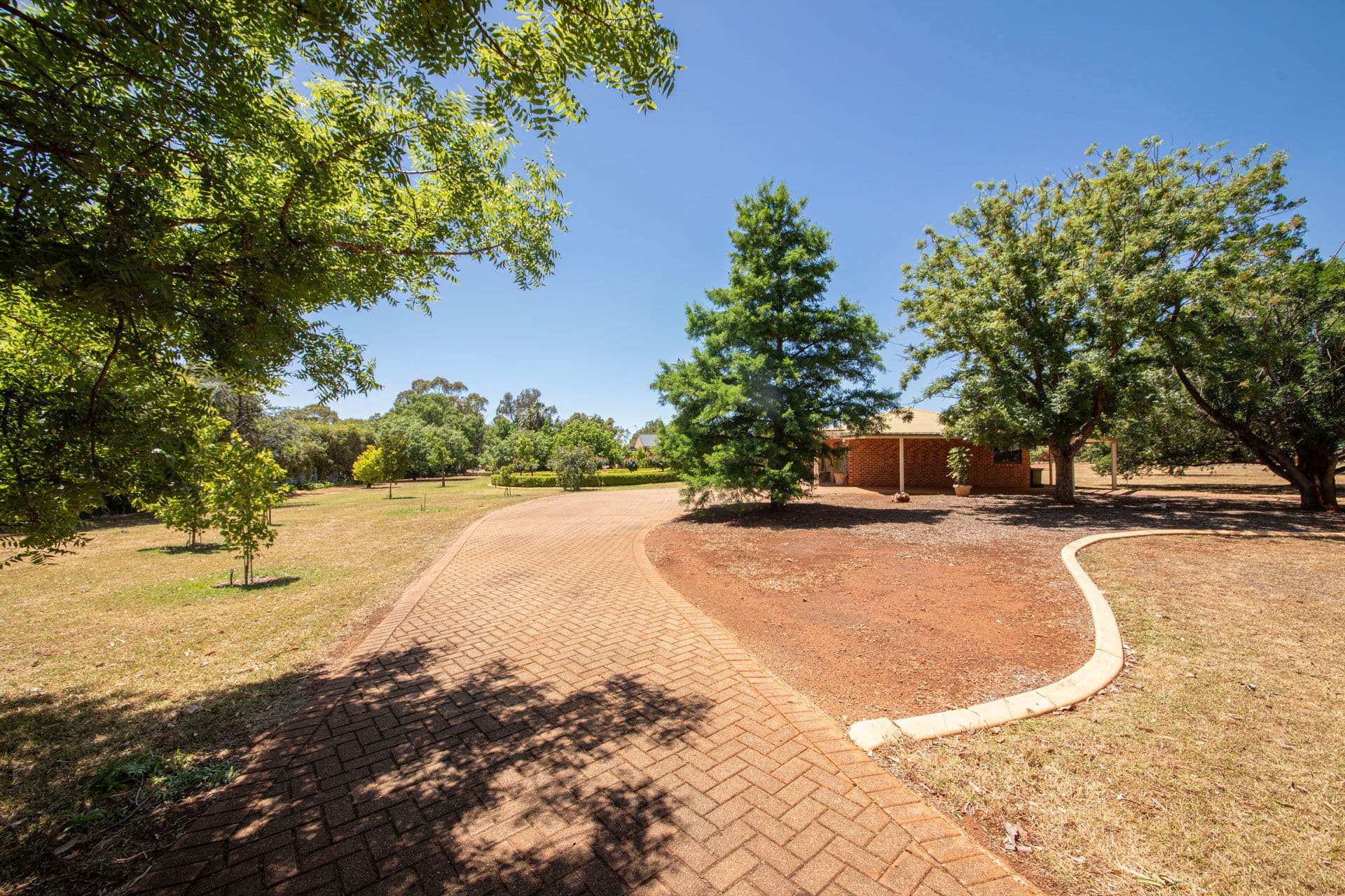 19 Colony Crescent, Dubbo NSW 2830, Dubbo - Thumbnail 7