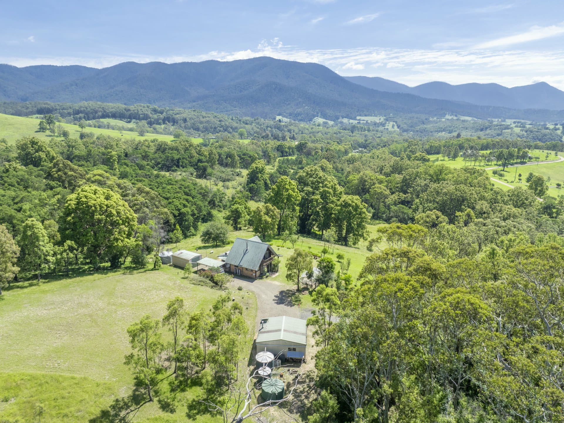 52 Buckleys Ridge Road, Bemboka, Bemboka - Thumbnail 2