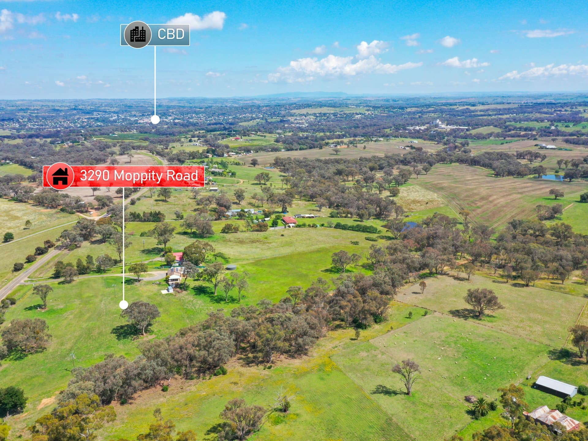 3290 Moppity Road, Young, Young - Thumbnail 2