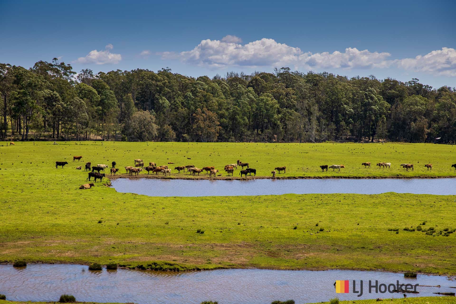 1109 Princes Highway, Mogo, Mogo - Thumbnail 4