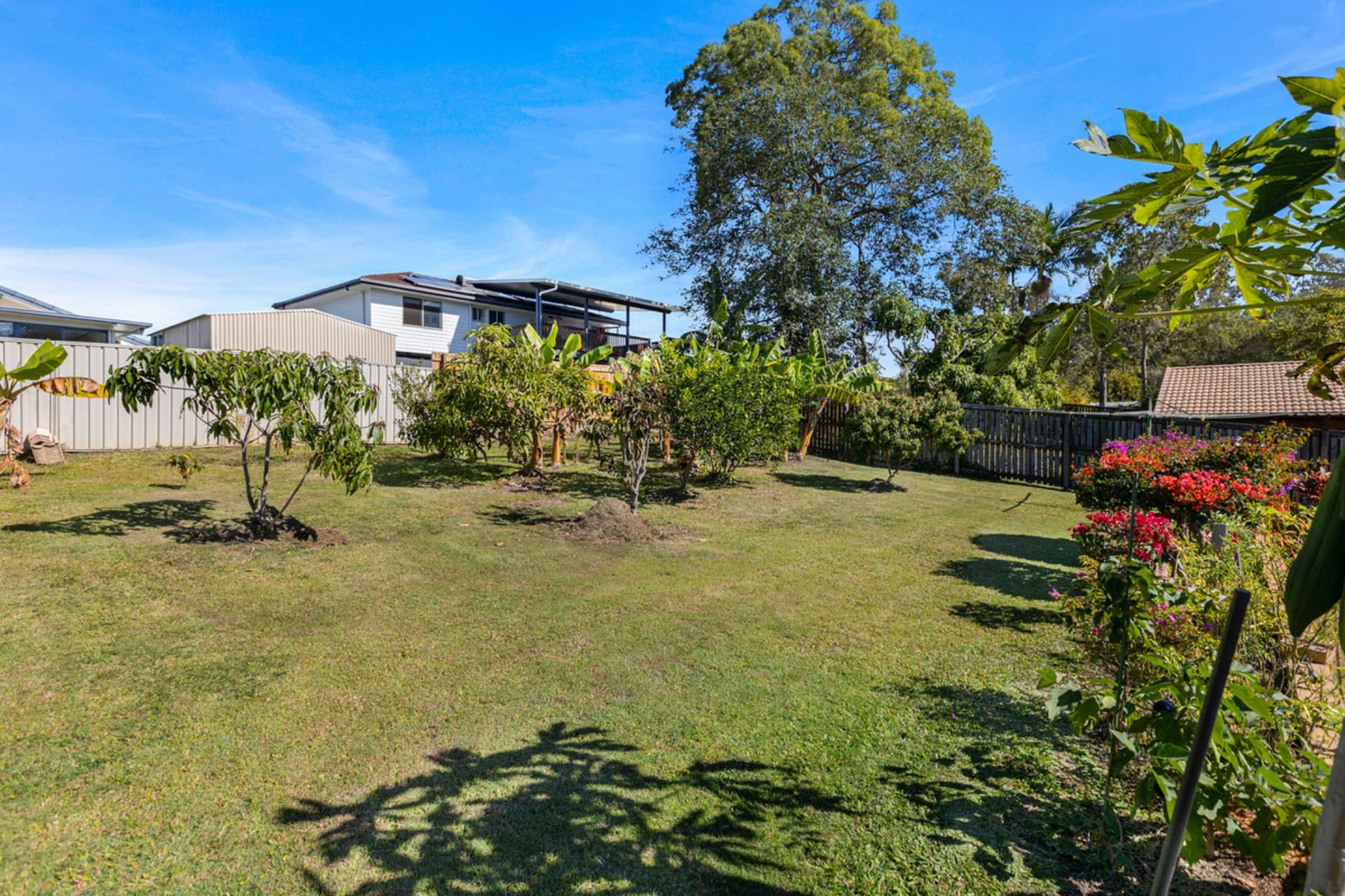 12 Achernar Court, Thornlands, Thornlands - Thumbnail 4