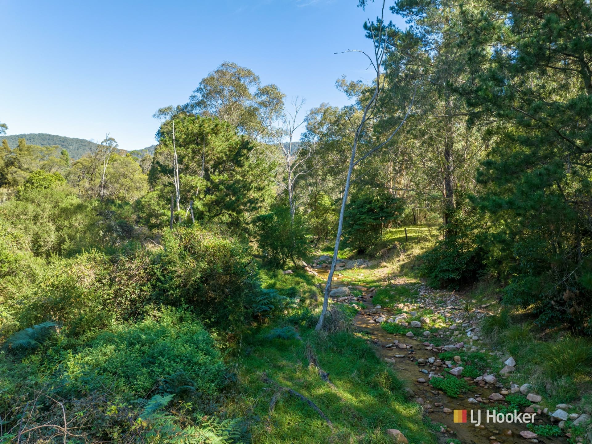 1086 Furners Road, Bemboka, Mogilla - Thumbnail 2