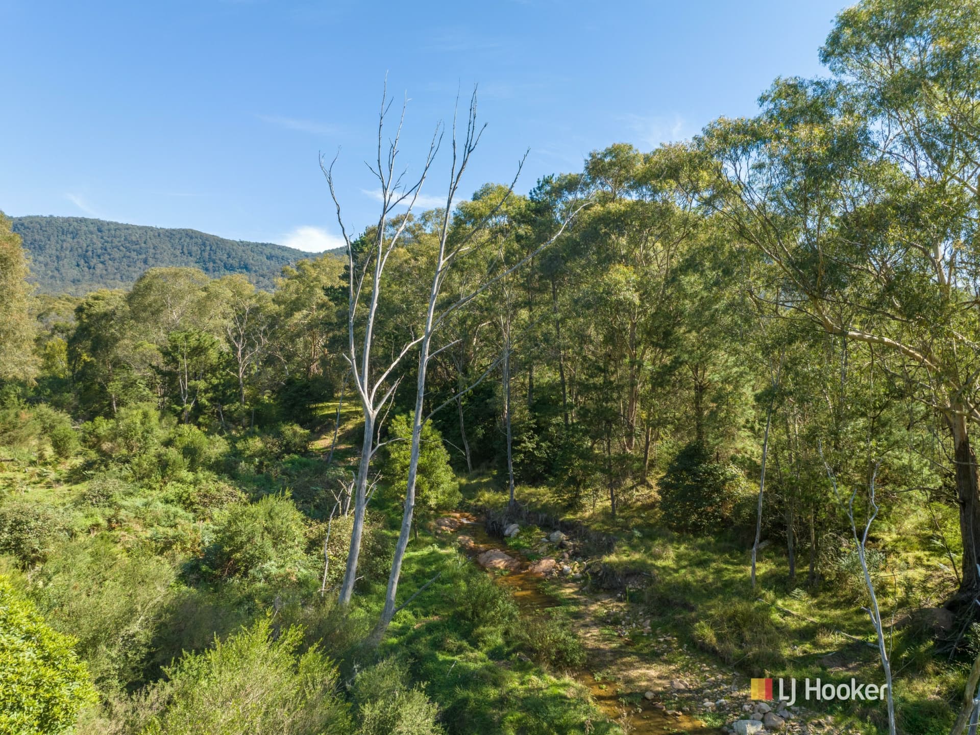 1086 Furners Road, Bemboka, Mogilla - Thumbnail 3