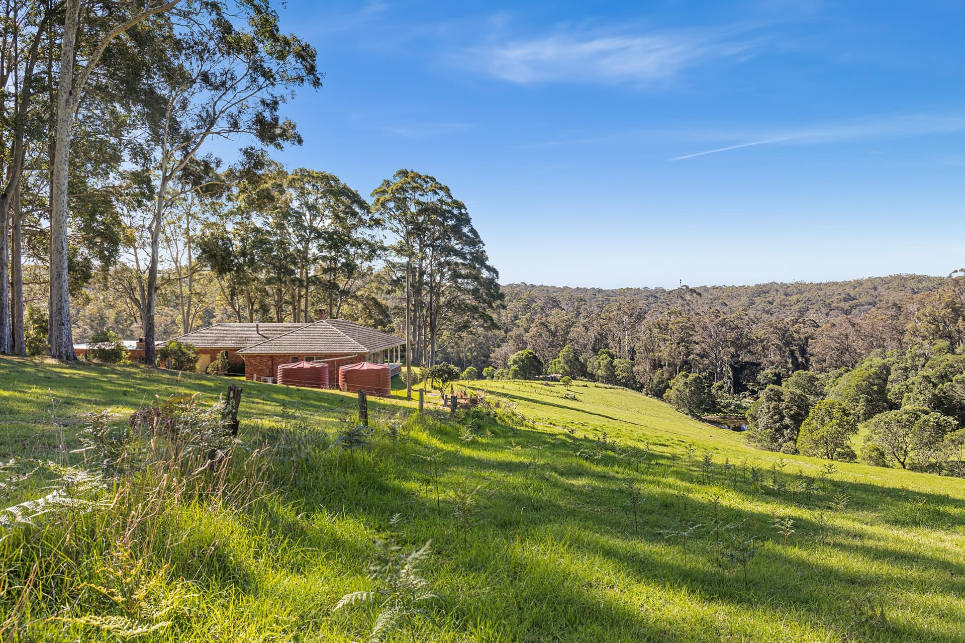 92 Kianga Forest Road, Kianga, Kianga - Thumbnail 4