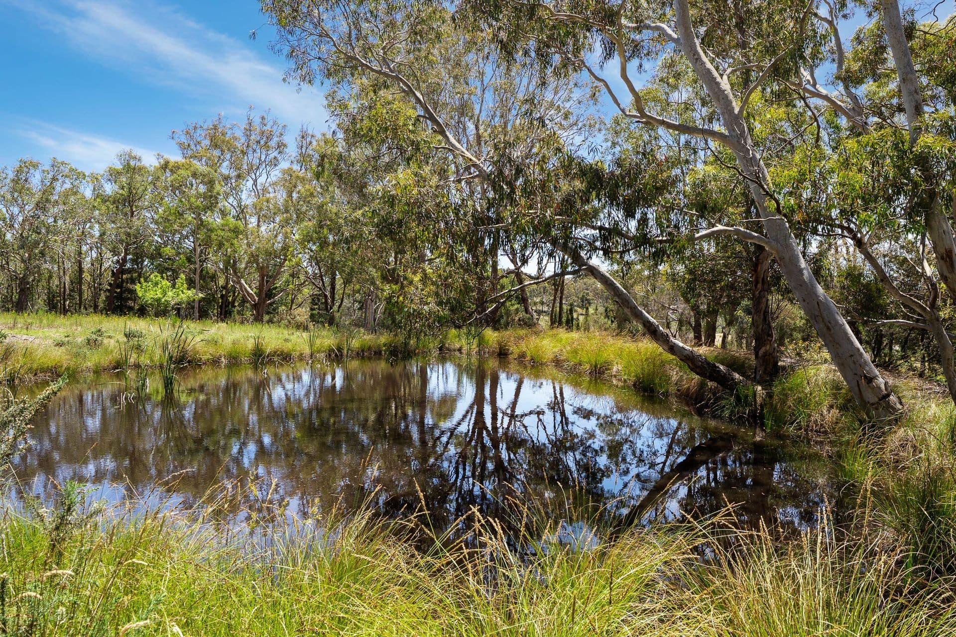 559 Mount Baw Baw Road, Baw Baw - Image 1