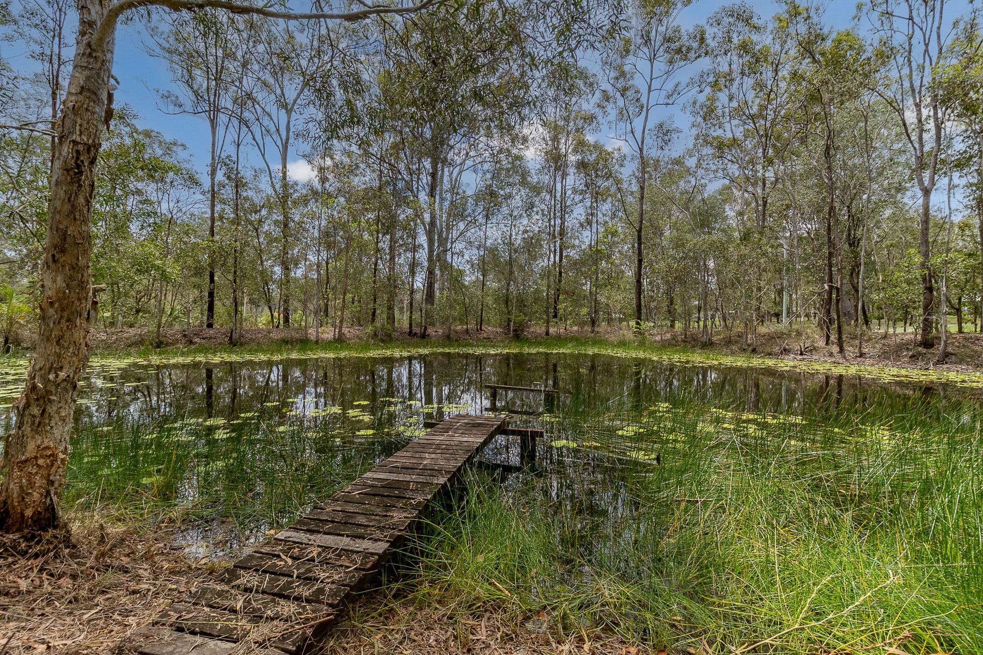 118 Philip Drive, Teddington QLD 4650, Teddington - Thumbnail 3