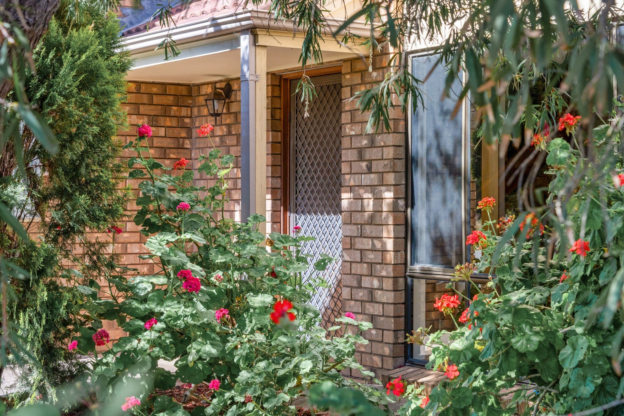 2A Favell Court, Morphett Vale SA 5162, Morphett Vale - Thumbnail 2