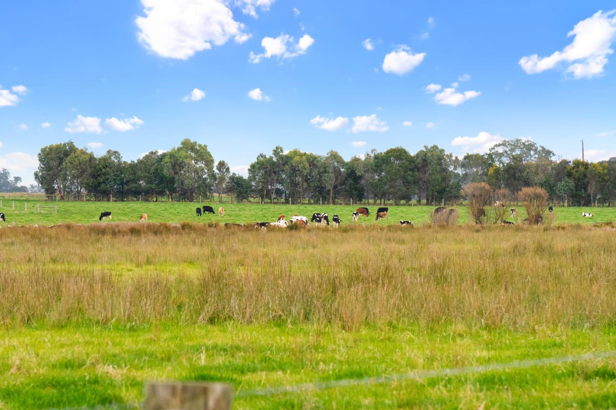 LOT 34 Celia Road, Leppington NSW 2179, Leppington - Thumbnail 2
